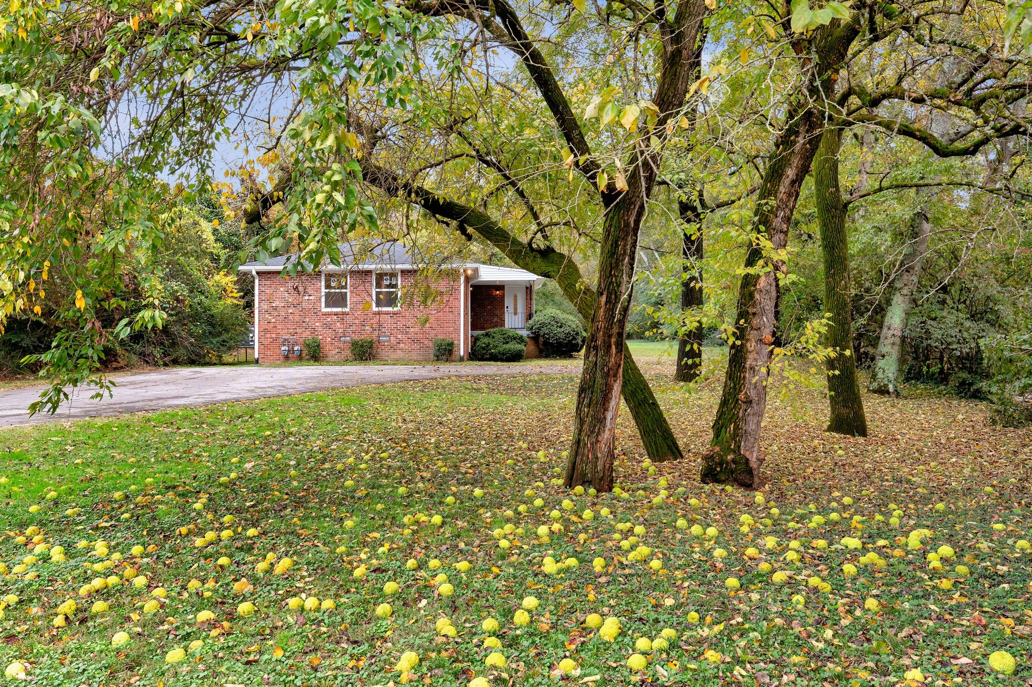 3638 Estes Rd