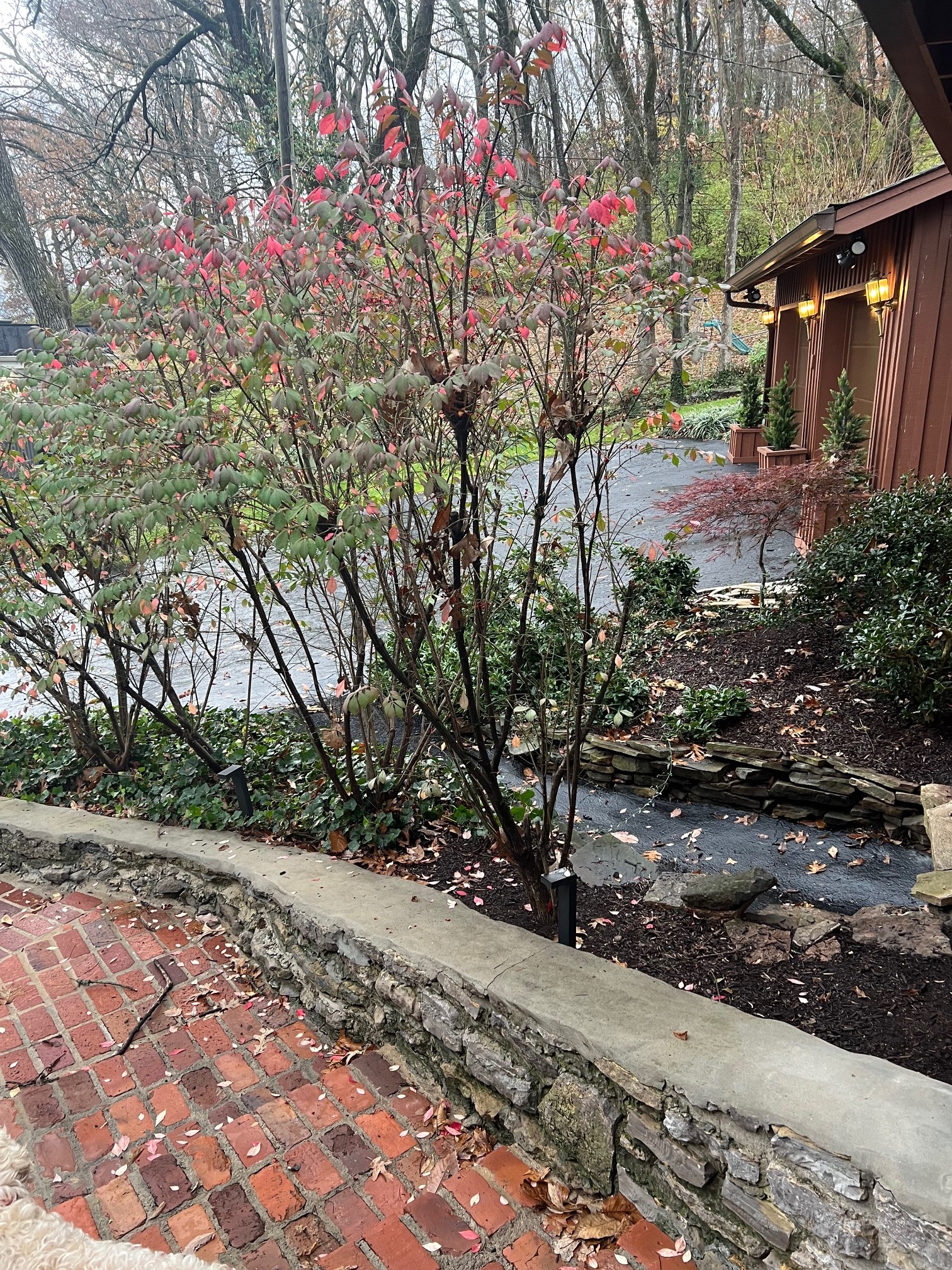 6002 Hickory Valley Rd