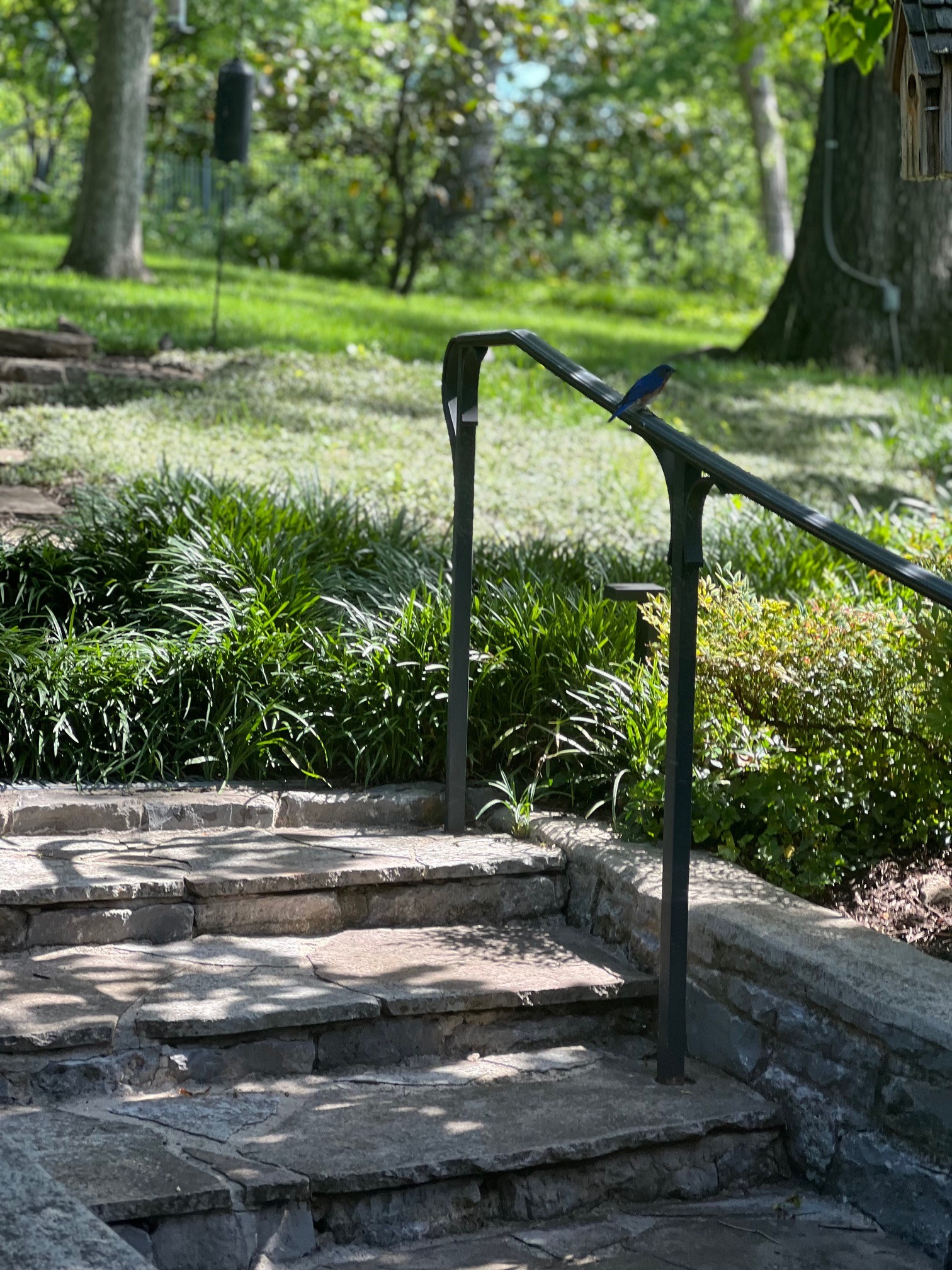 6002 Hickory Valley Rd