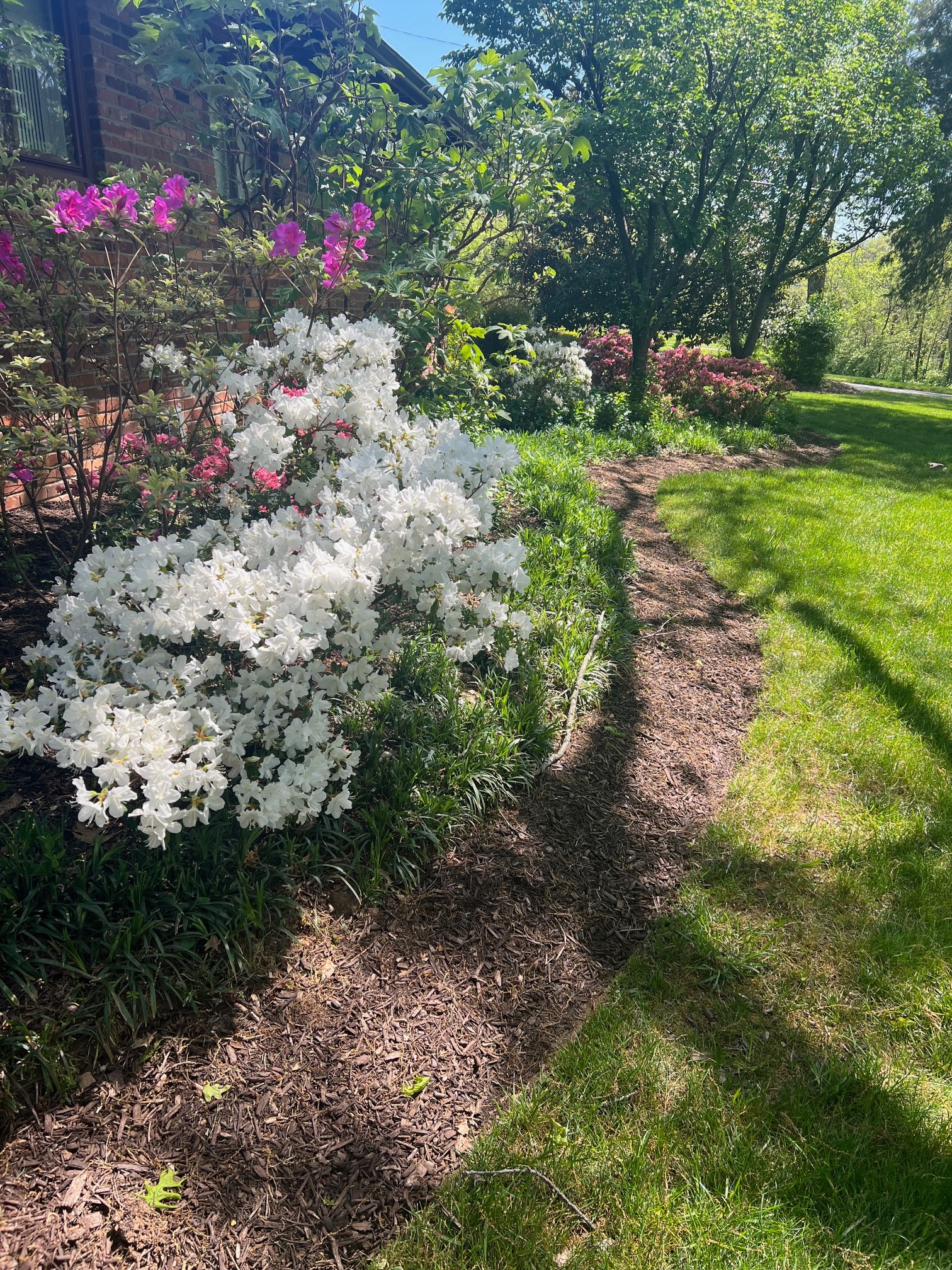 6002 Hickory Valley Rd