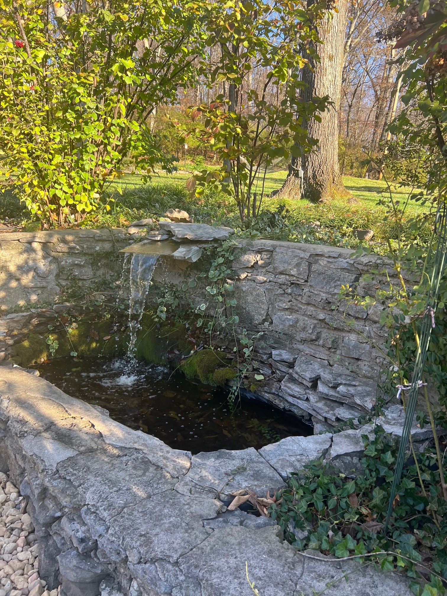 6002 Hickory Valley Rd