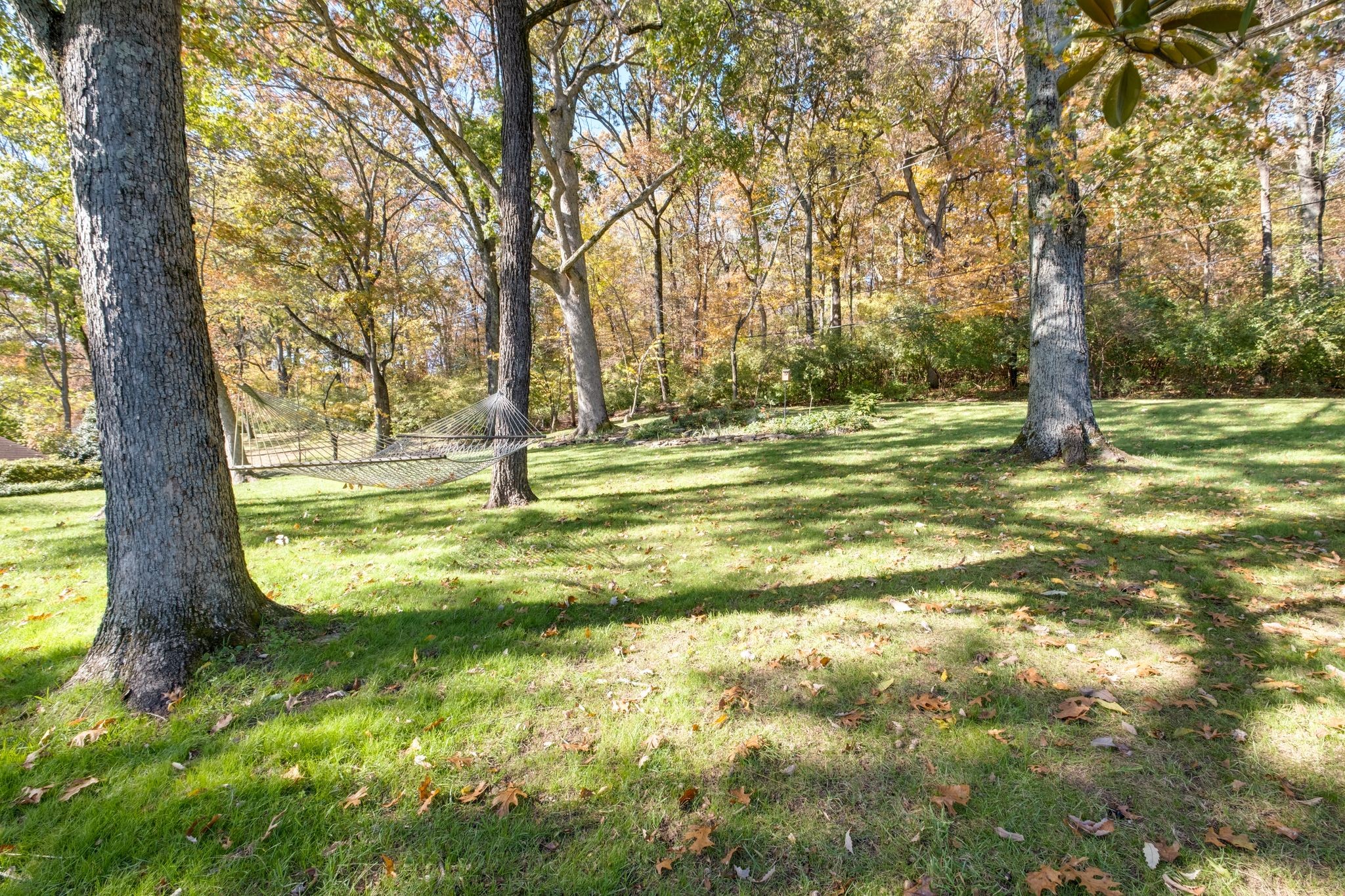 6002 Hickory Valley Rd