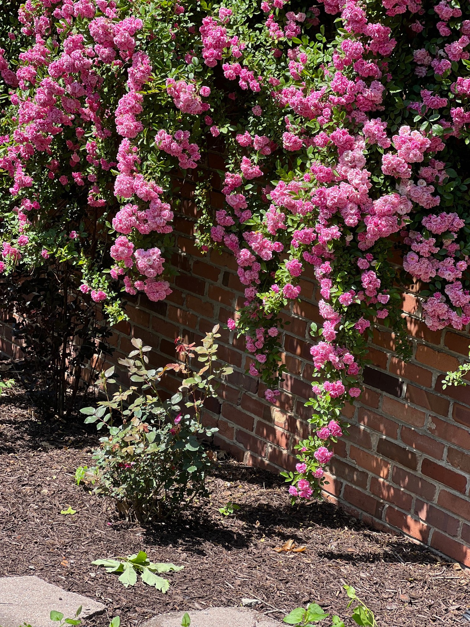 6002 Hickory Valley Rd