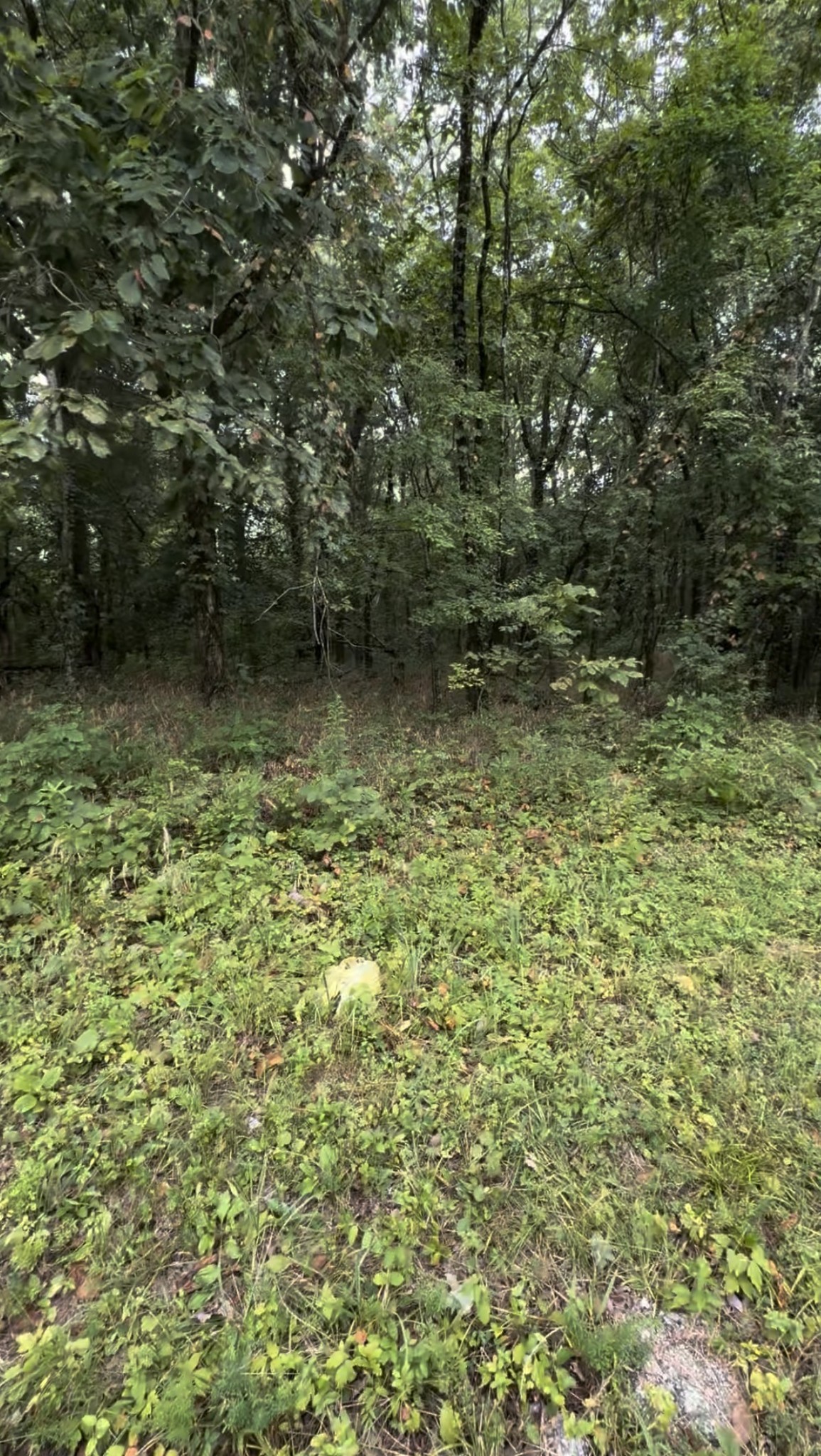 6468 Arno College Grove Rd