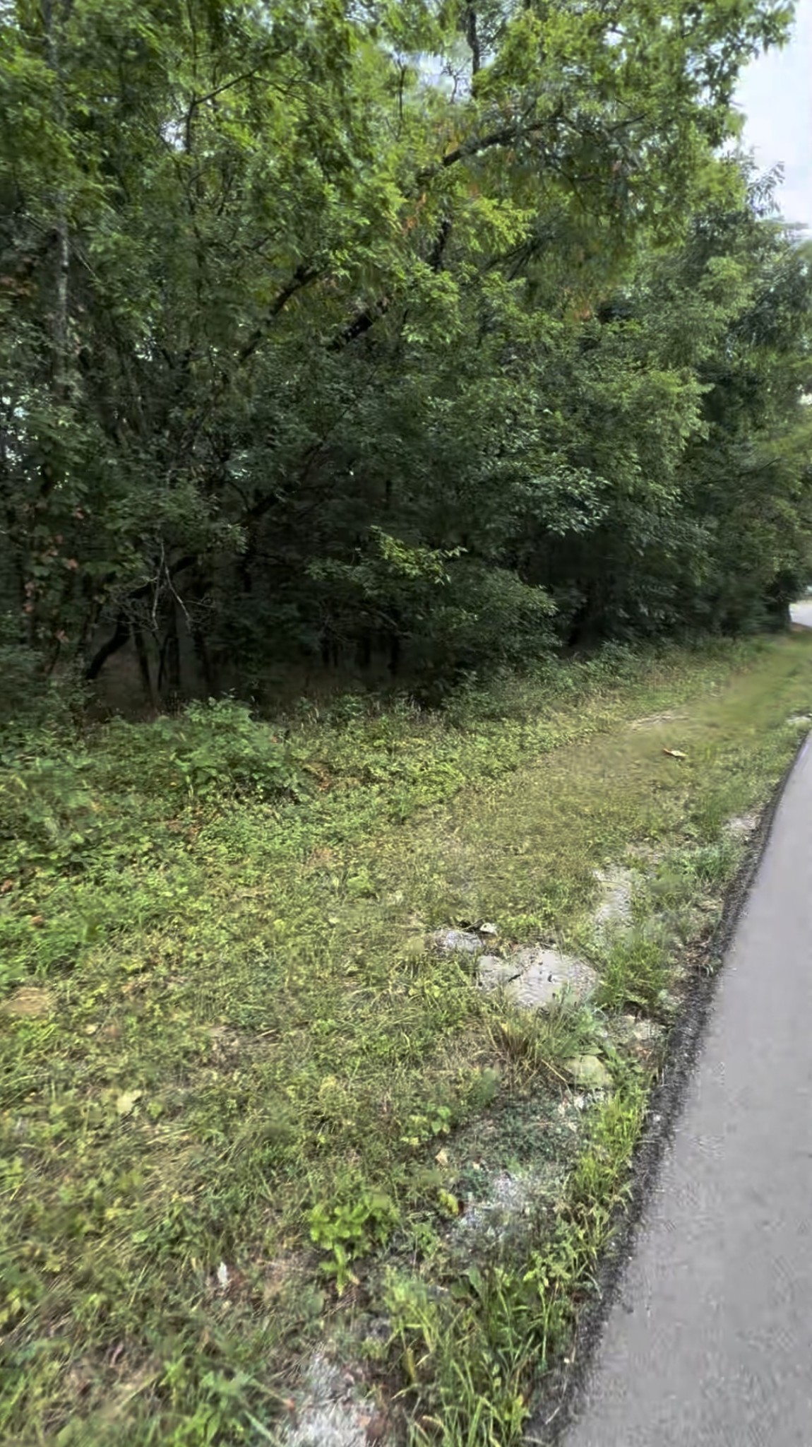 6468 Arno College Grove Rd