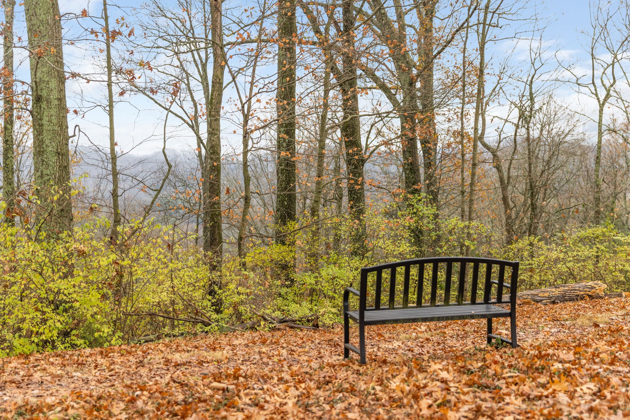 1326 Burton Valley Rd