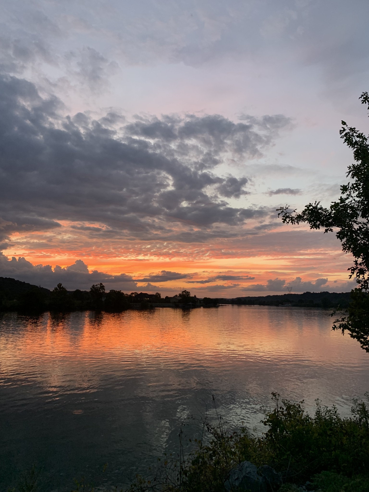 400 Warioto Way Unit: 308