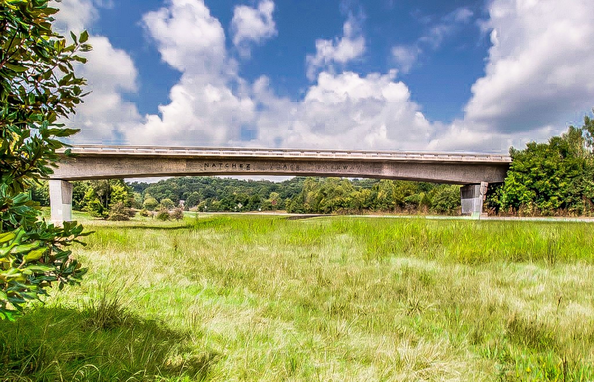 7252 Highway 70, S Unit: 1506