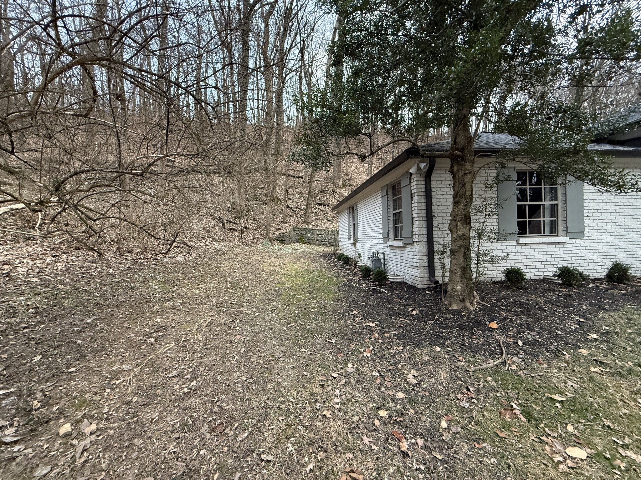 1125 Chickering Park Dr