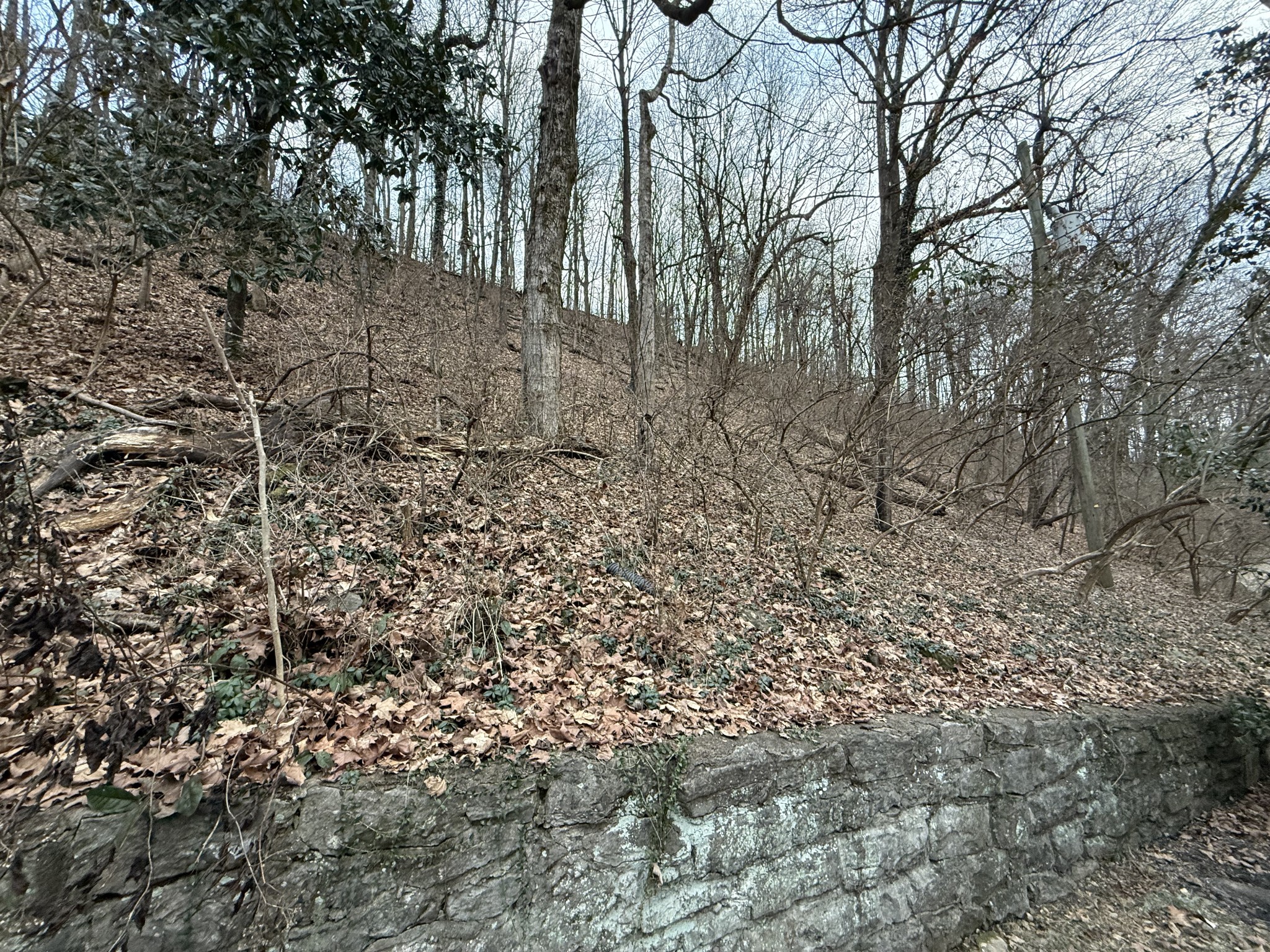 1125 Chickering Park Dr