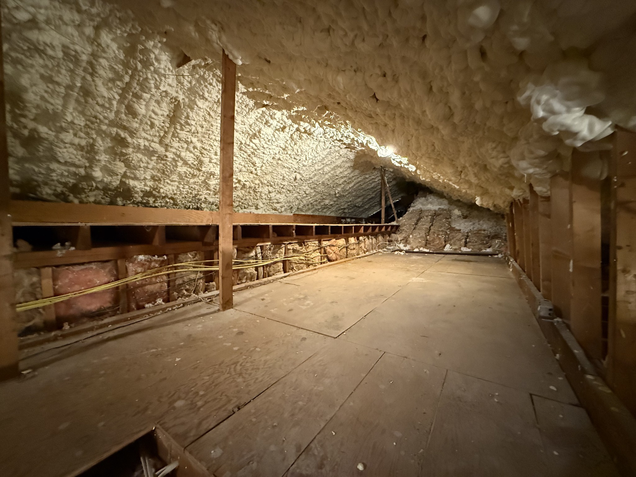 1125 Chickering Park Dr