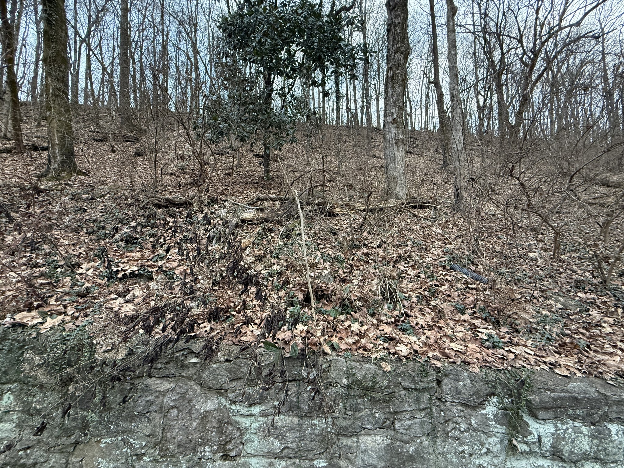 1125 Chickering Park Dr