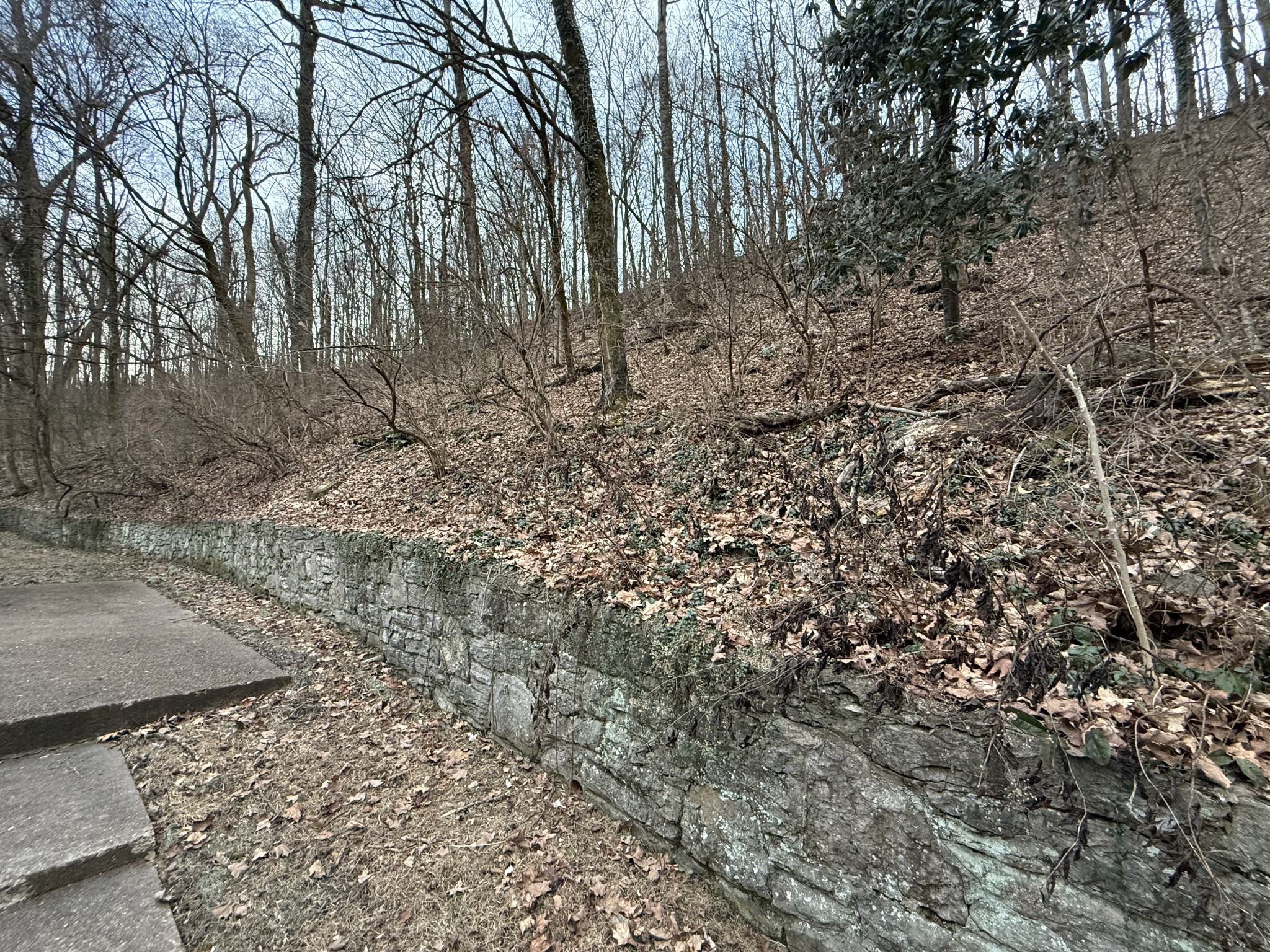 1125 Chickering Park Dr