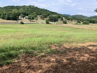 3076 Carters Creek Pk