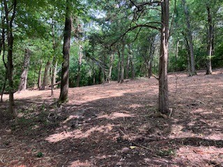 3076 Carters Creek Pk