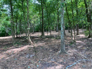 3076 Carters Creek Pk