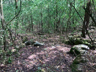 3076 Carters Creek Pk