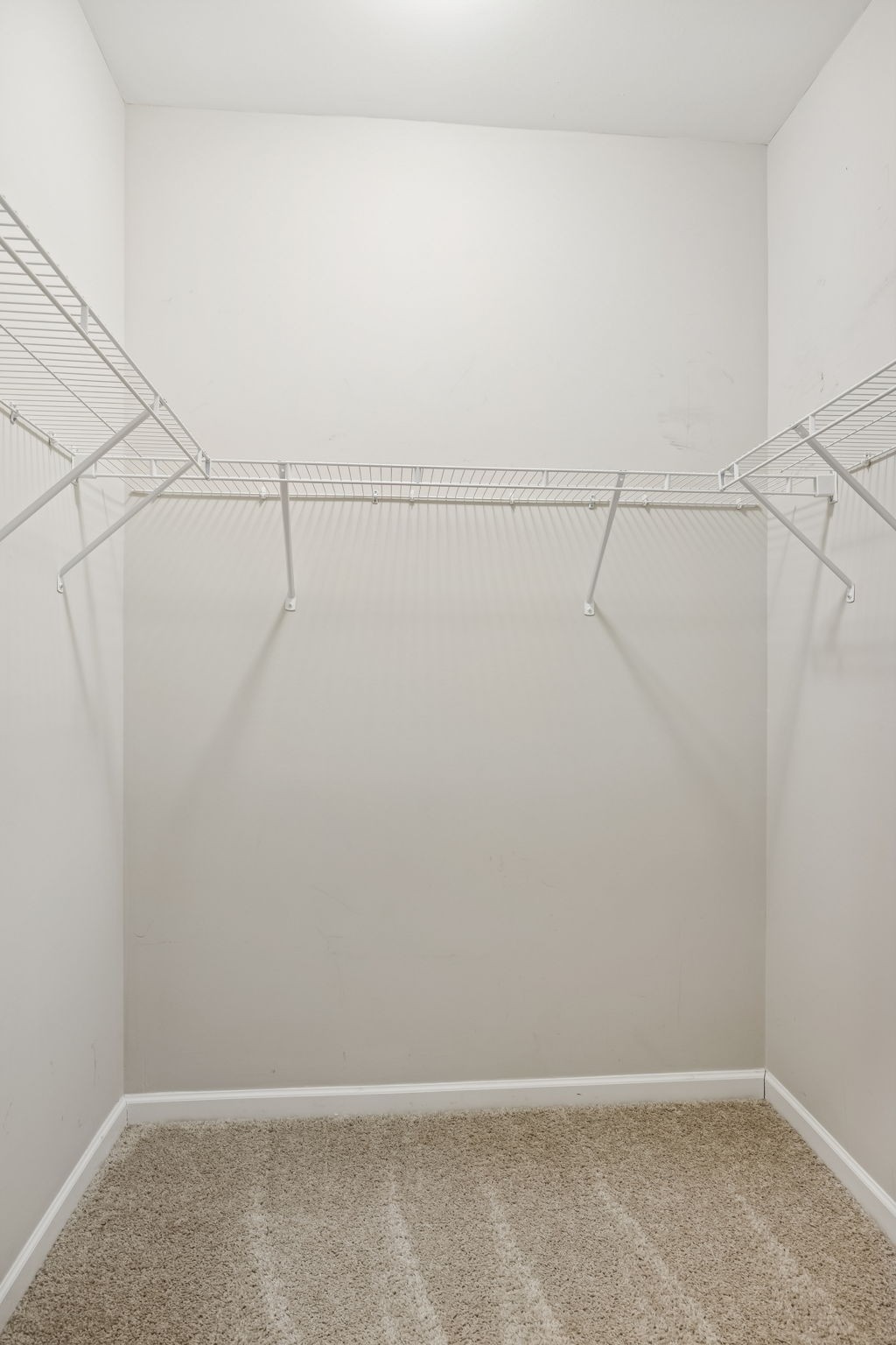 6042 Blackberry Ridge Ln