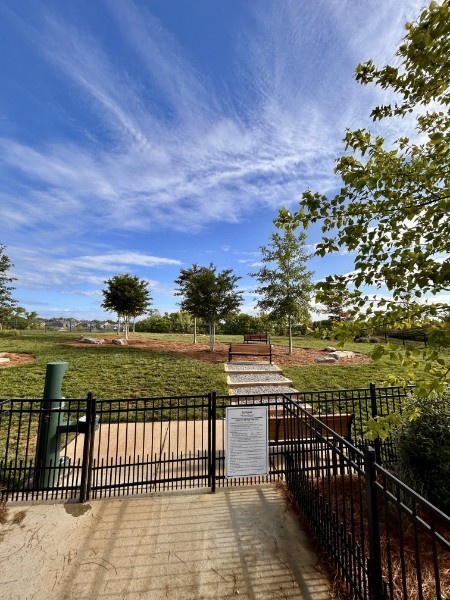 817 Clay Pl