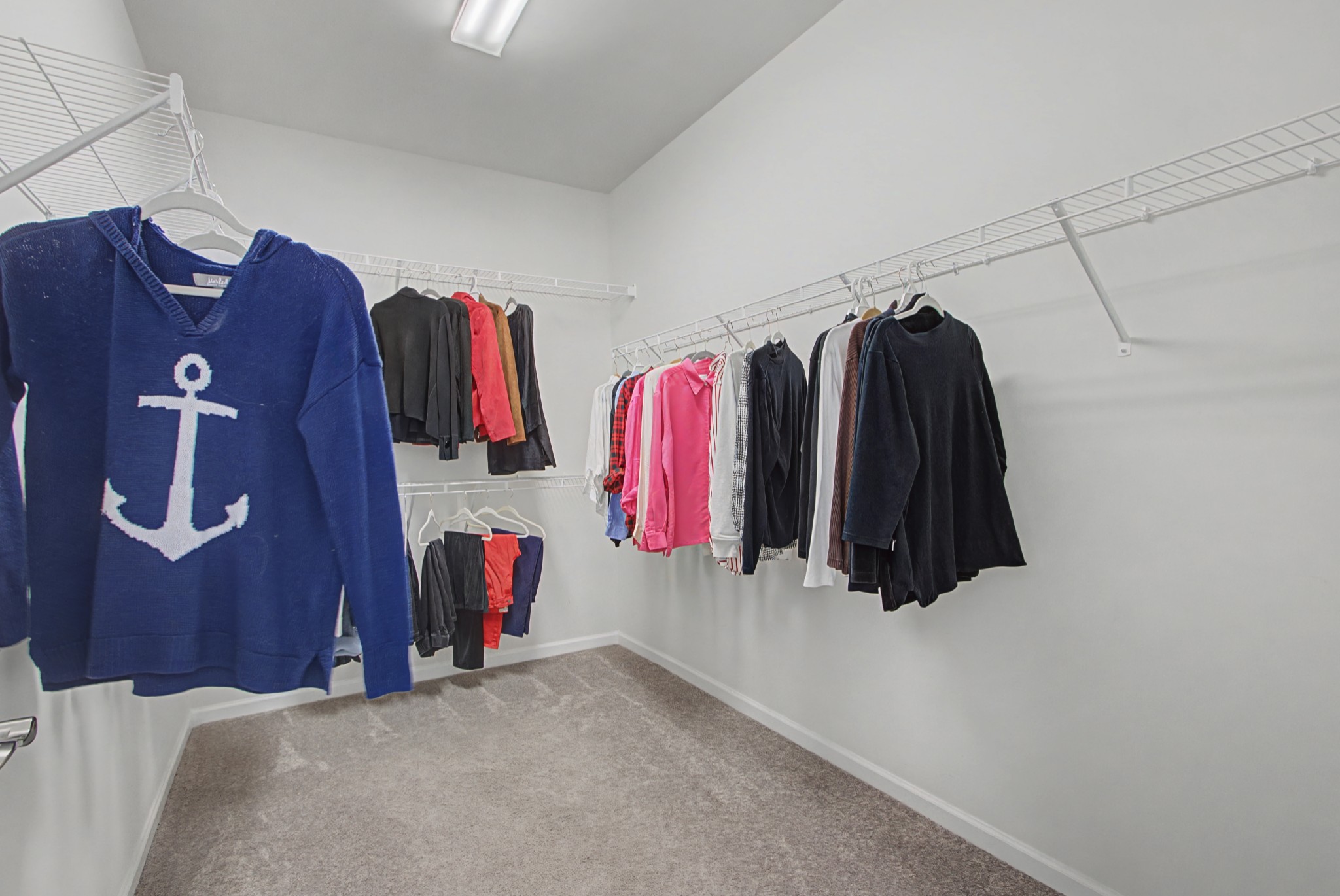 817 Clay Pl