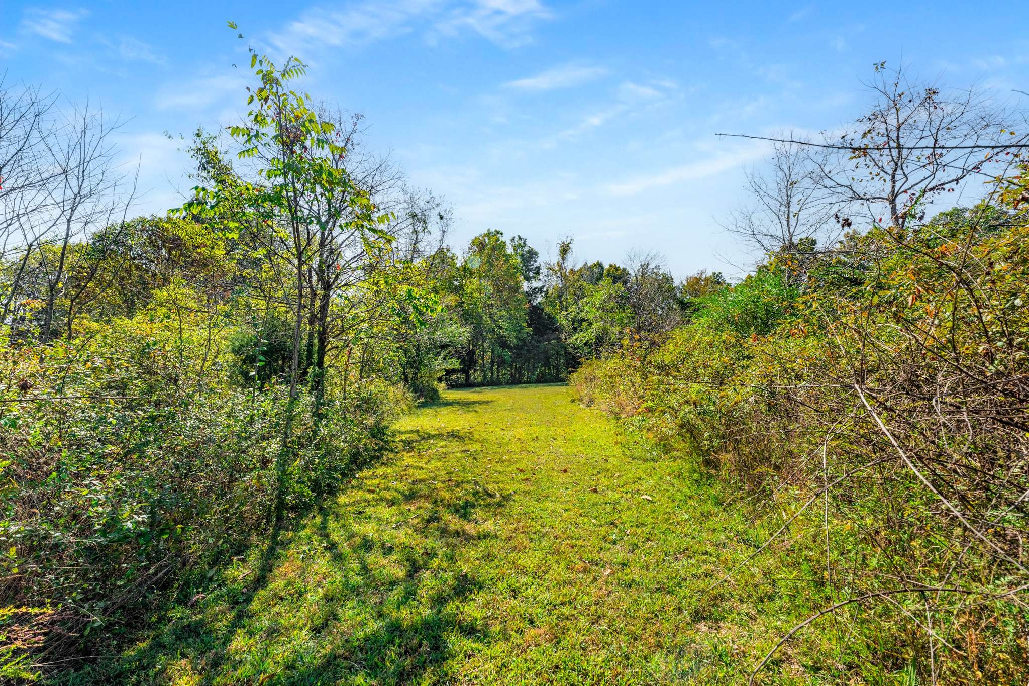 1257 Harris Hollow Rd