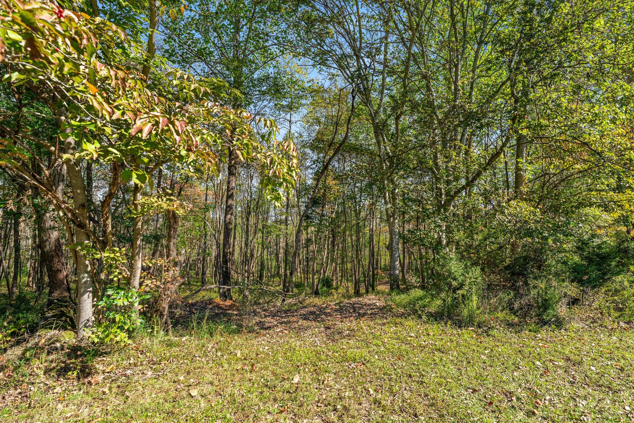 1257 Harris Hollow Rd