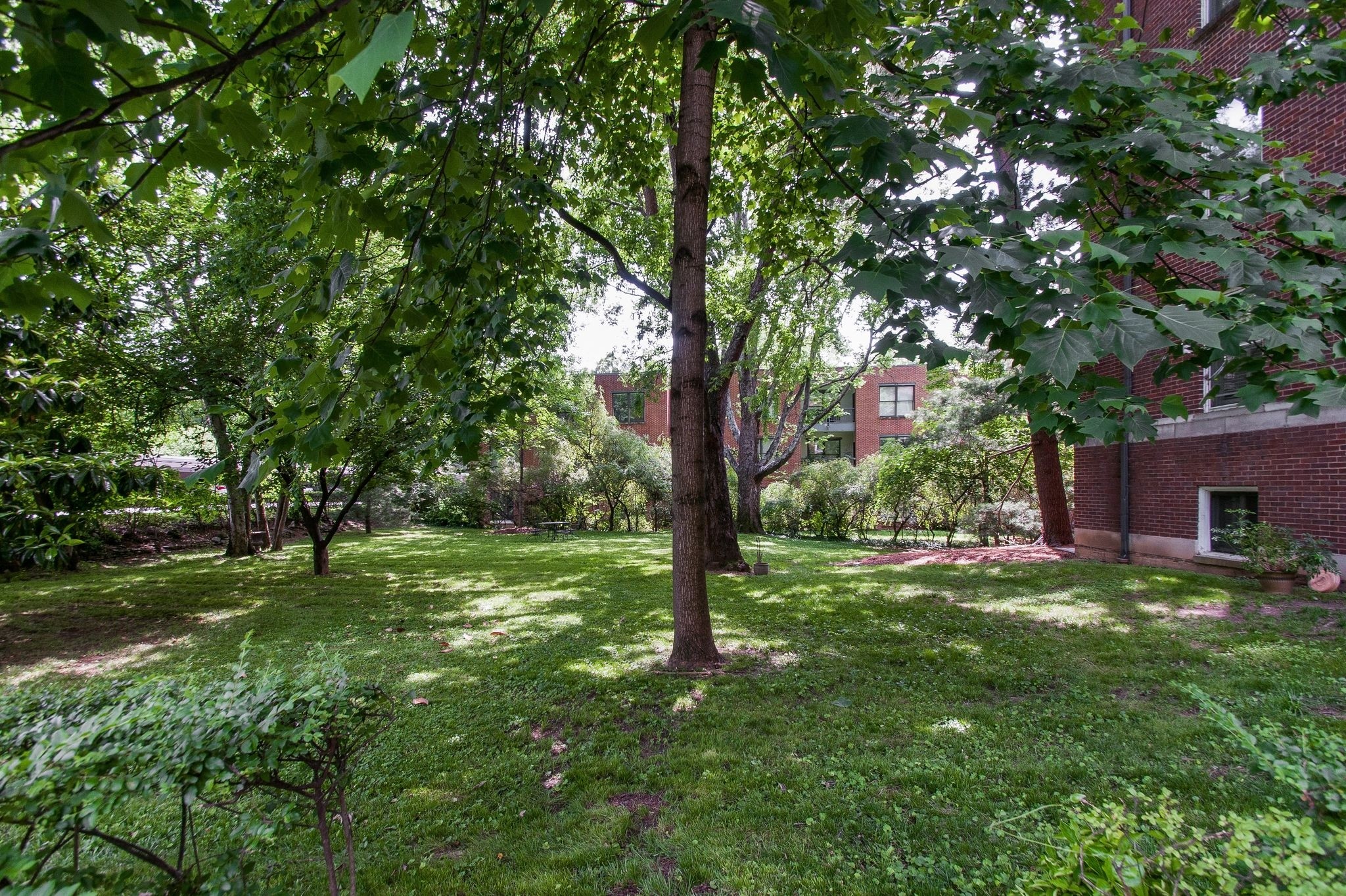 4225 Harding Pike Unit: 603