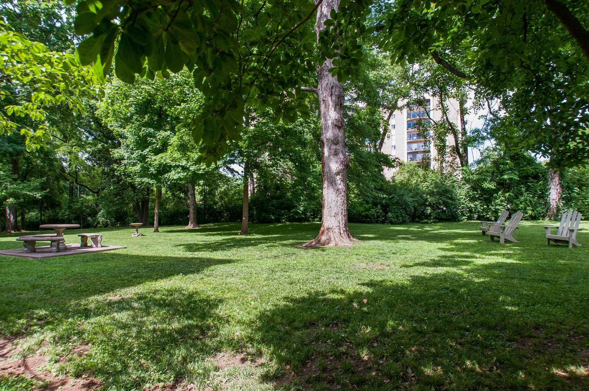 4225 Harding Pike Unit: 603