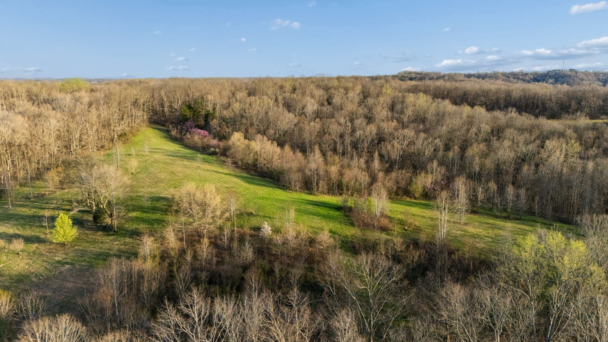 697 Johnson Branch Rd