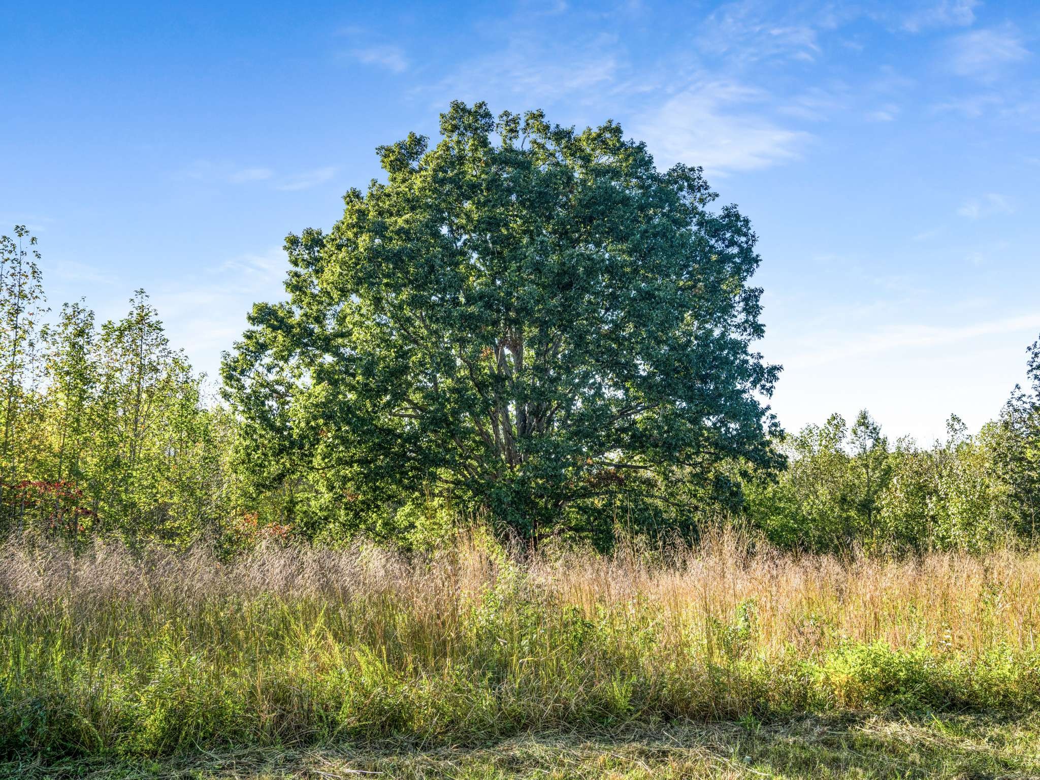 697 Johnson Branch Rd