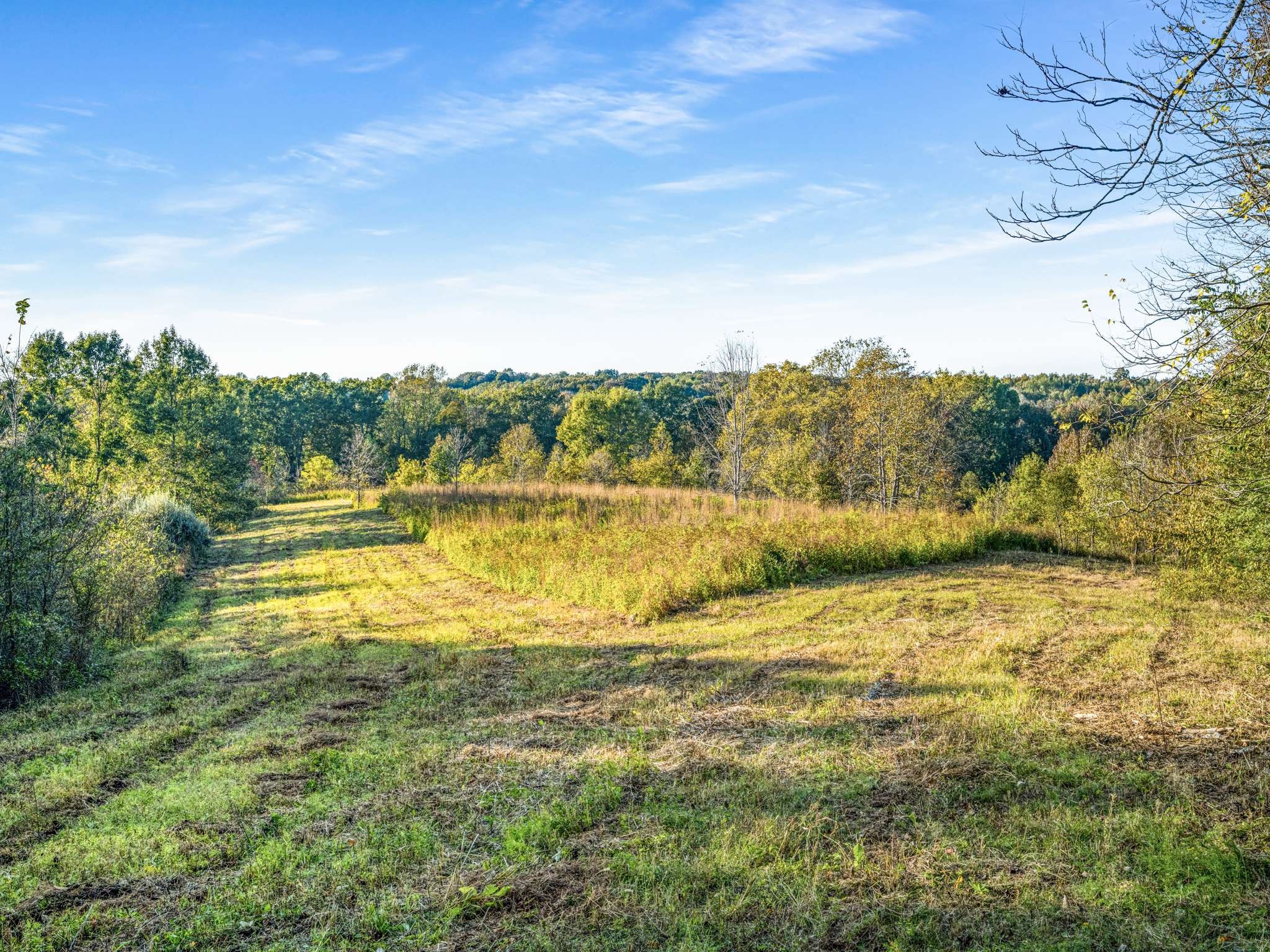 697 Johnson Branch Rd