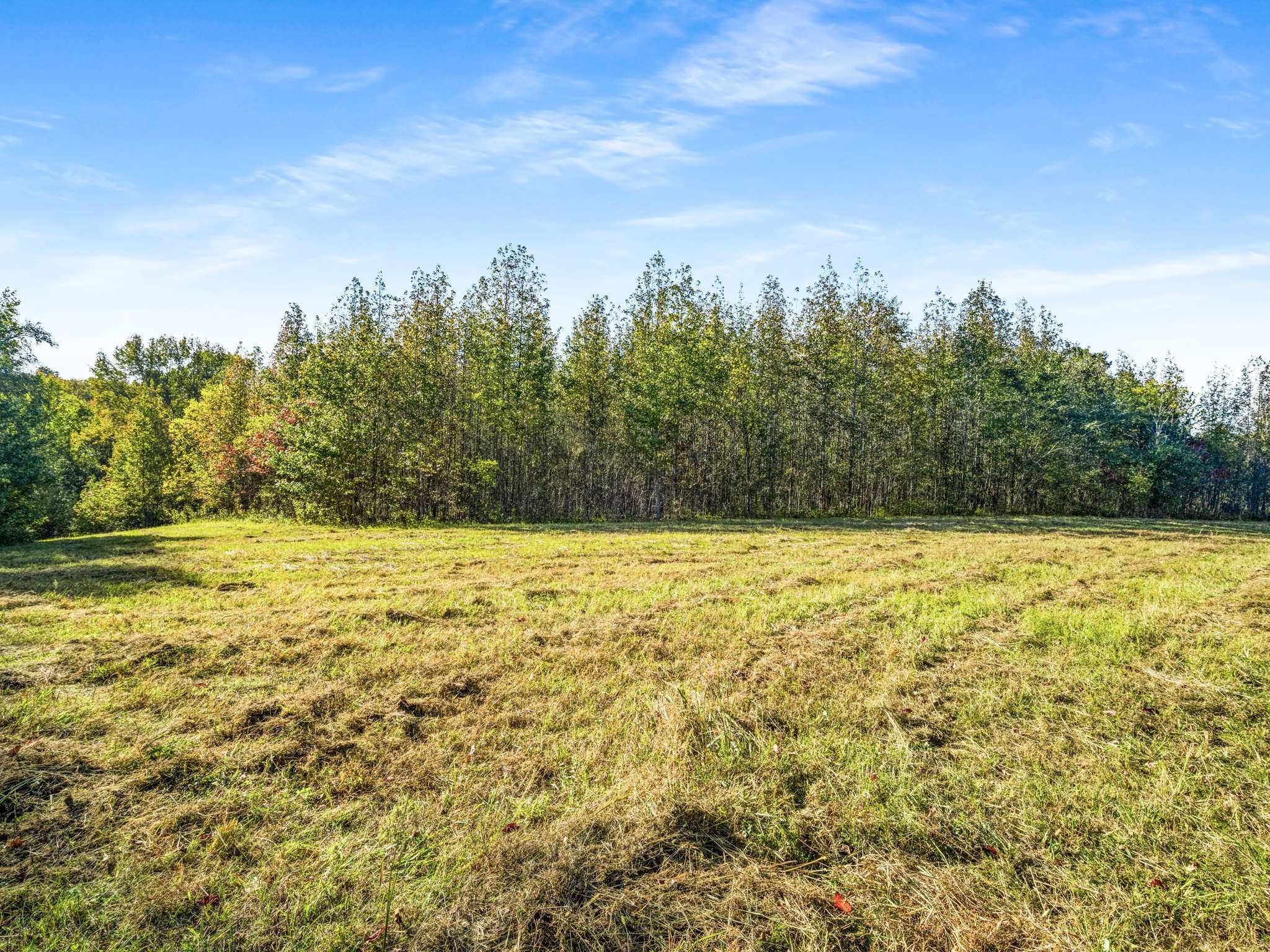 697 Johnson Branch Rd