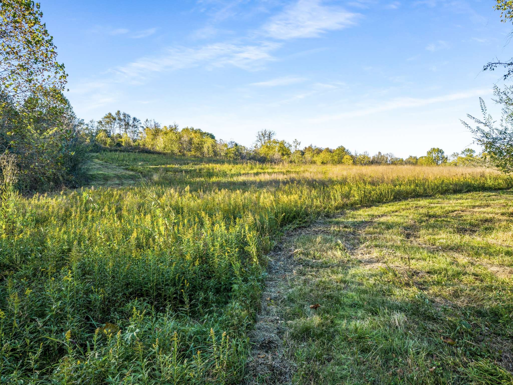 697 Johnson Branch Rd