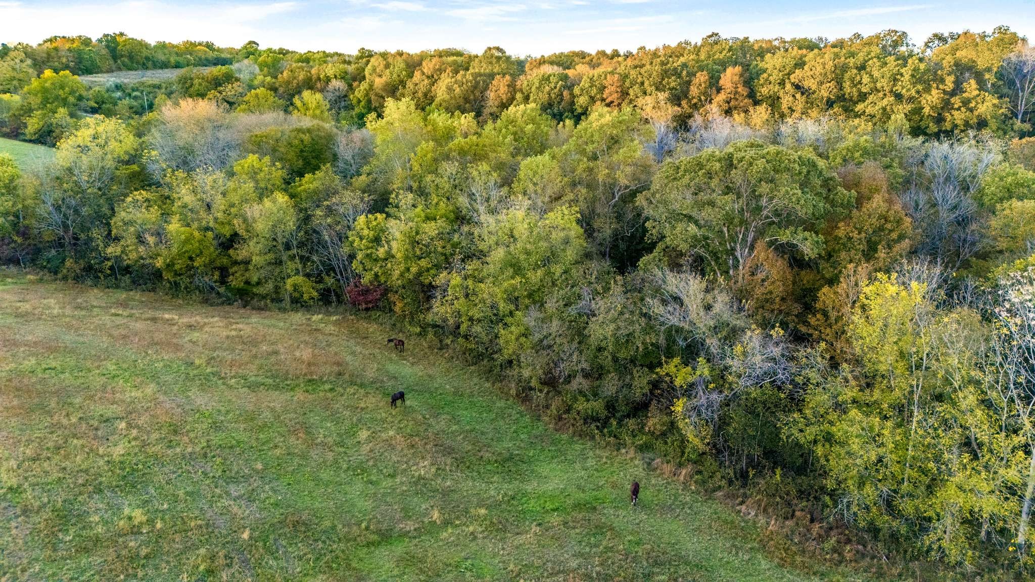 697 Johnson Branch Rd