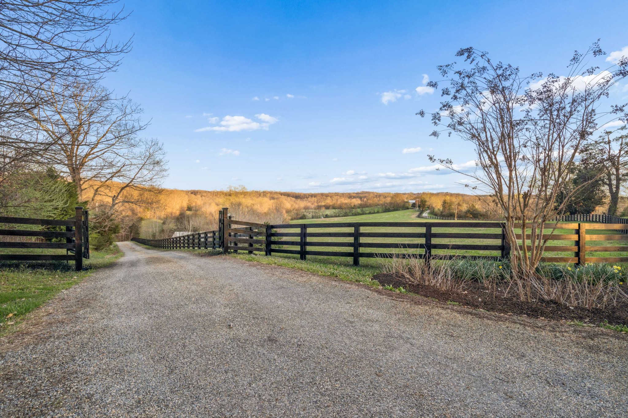 697 Johnson Branch Rd