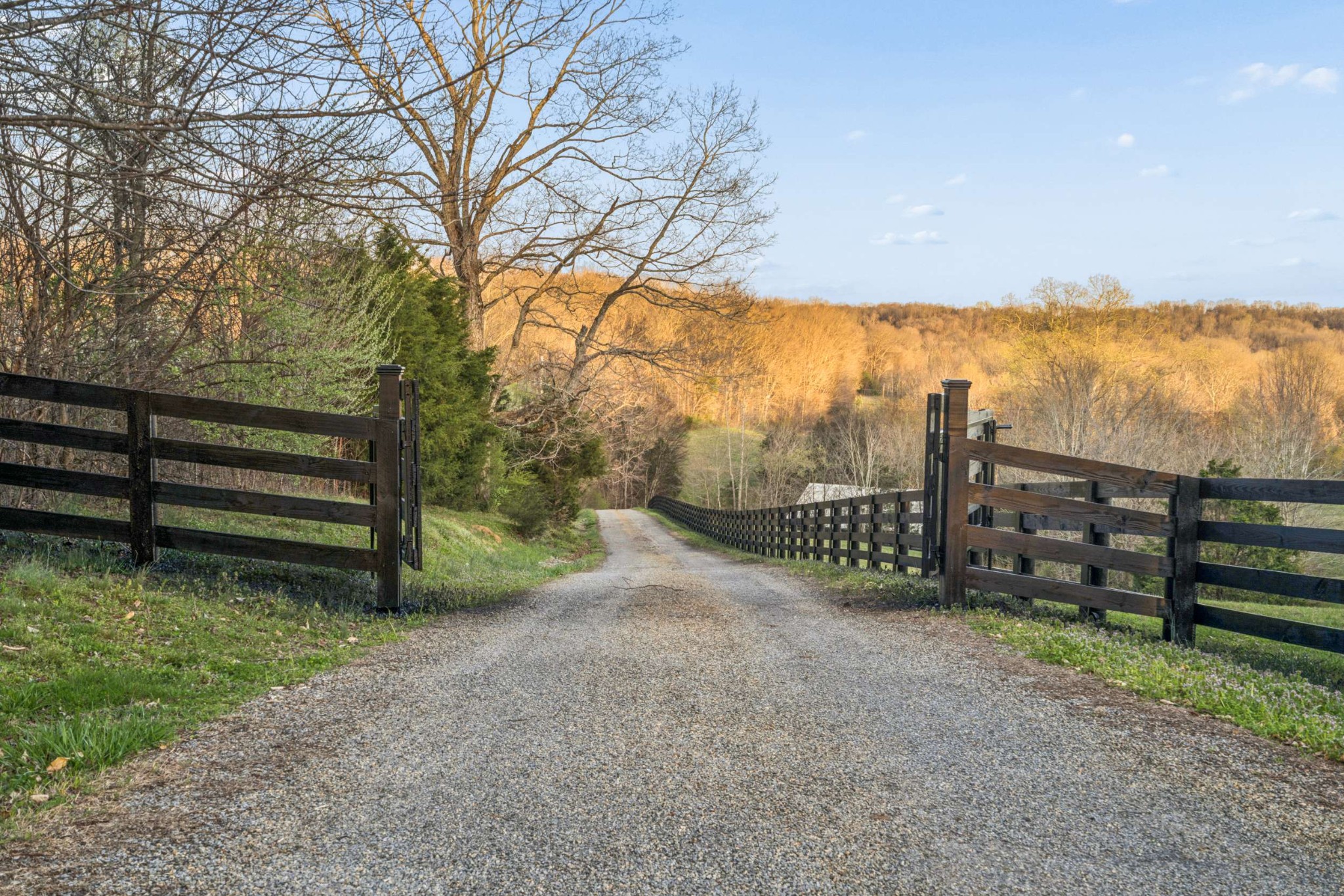 683 Johnson Branch Rd