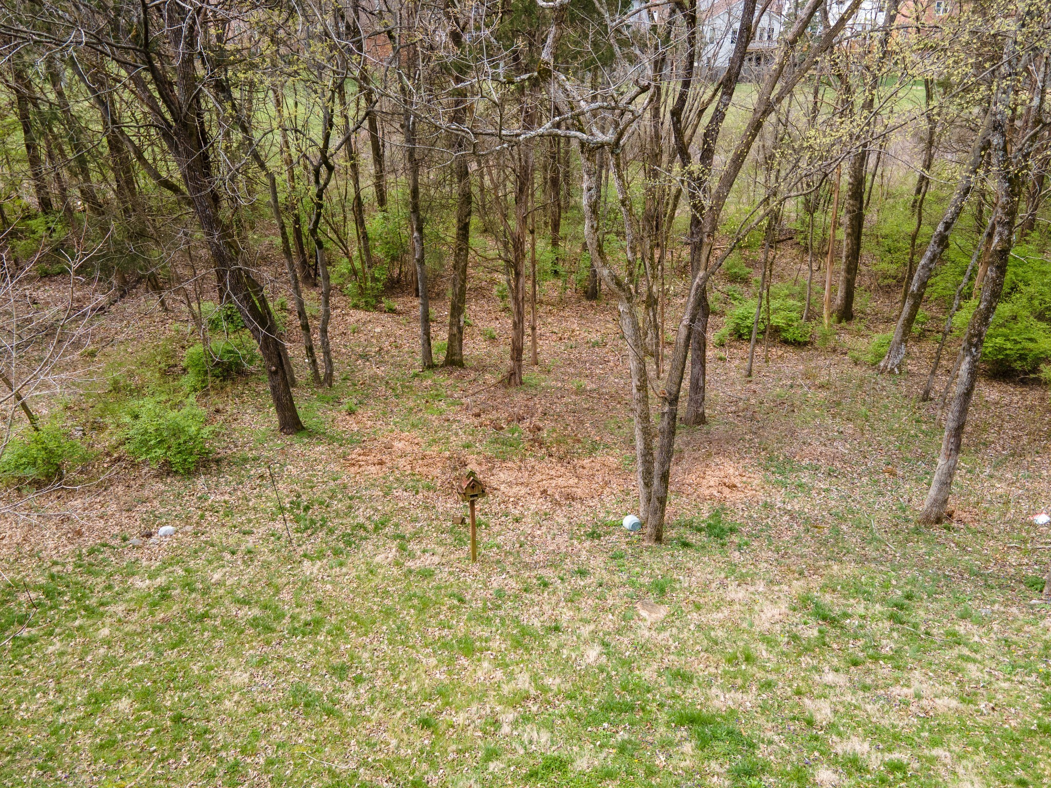 212 Sterling Oaks Pl