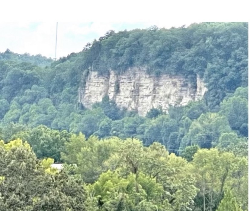 400 Warioto Way Unit: 305