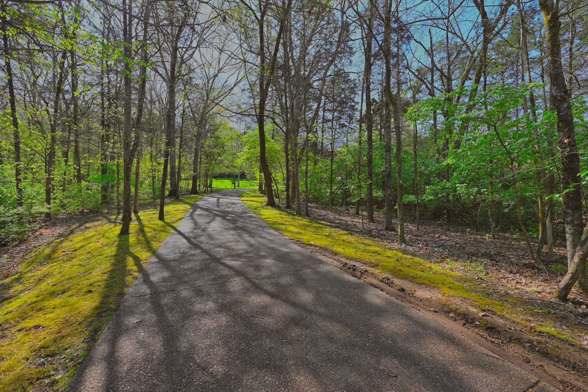 1115 Temple Ridge Ct