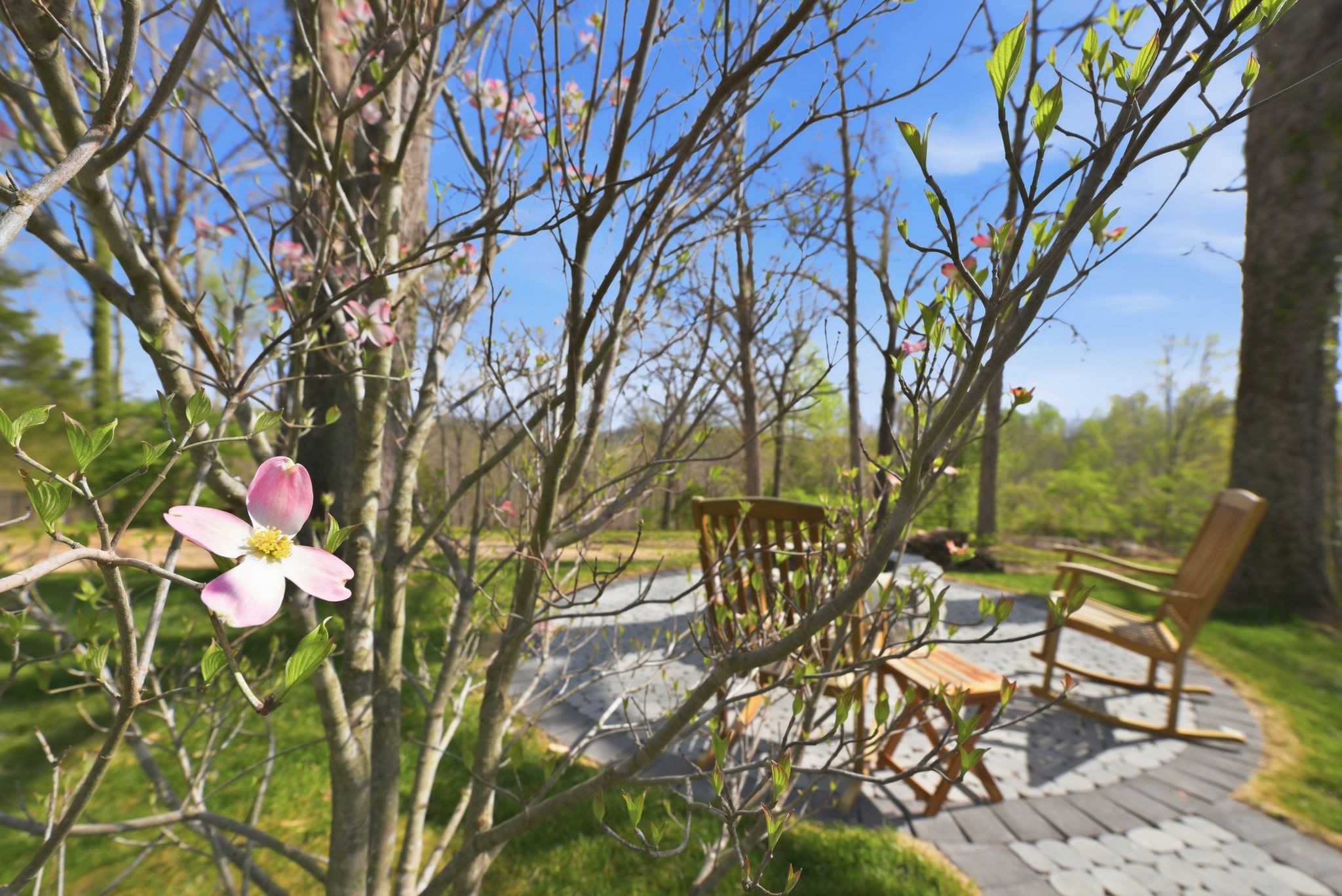 8811 Old Charlotte Pike