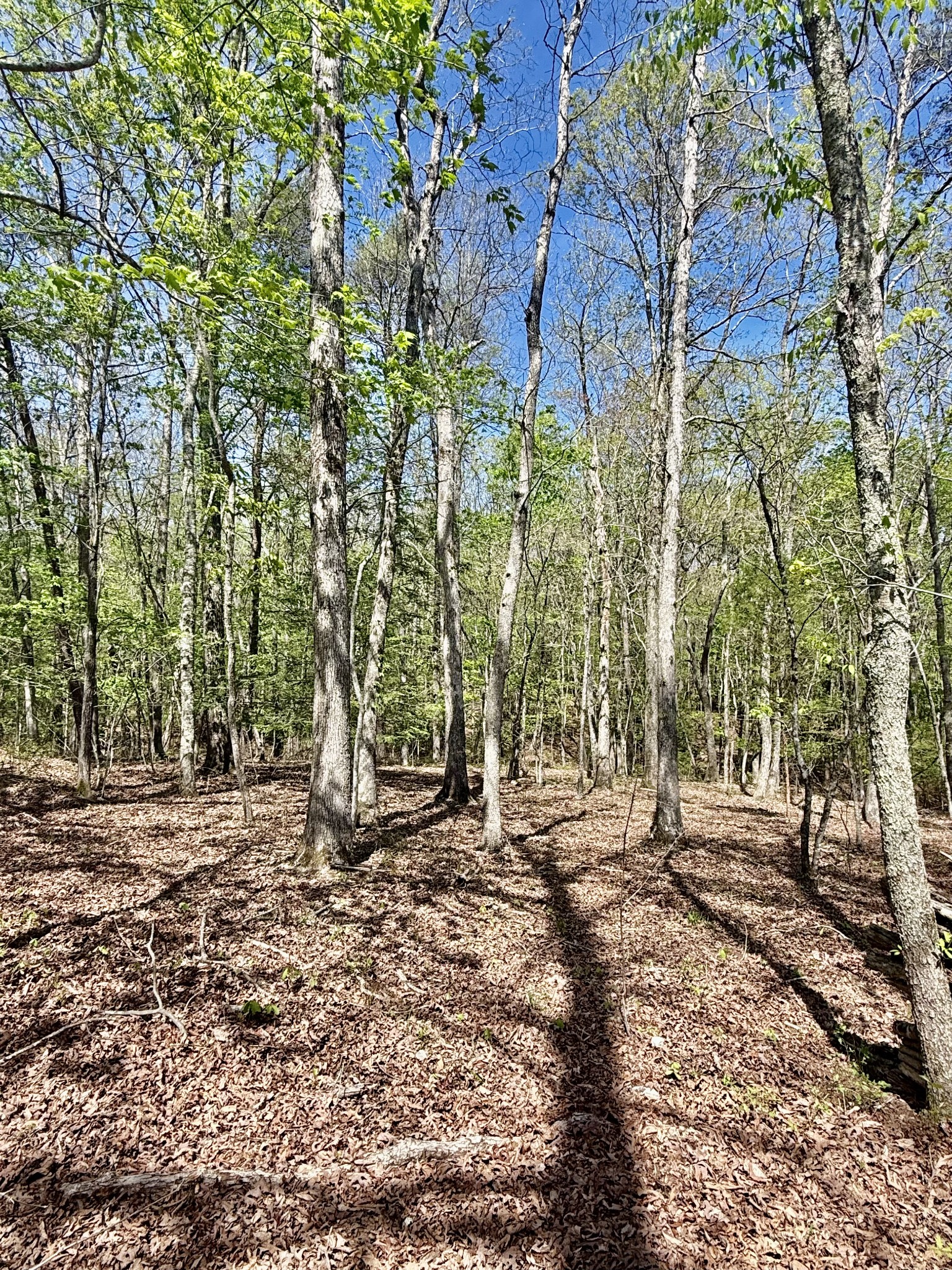 0 Timberwood Trace Lot 310