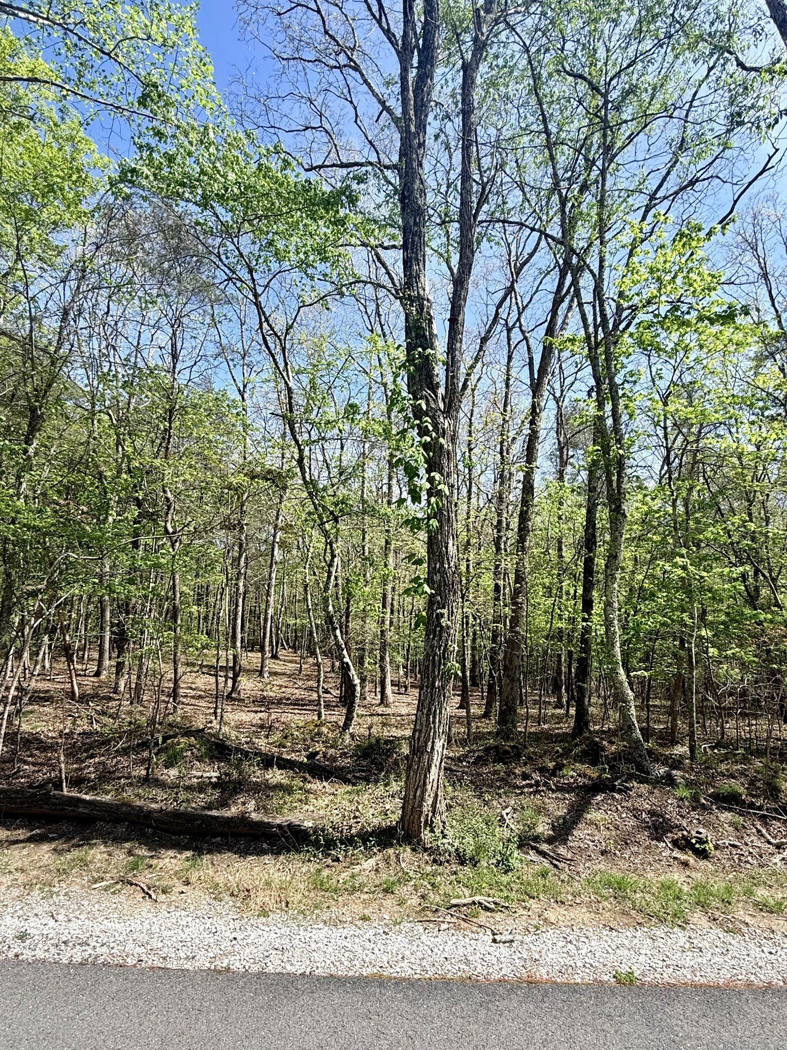 0 Timberwood Trace Lot 310