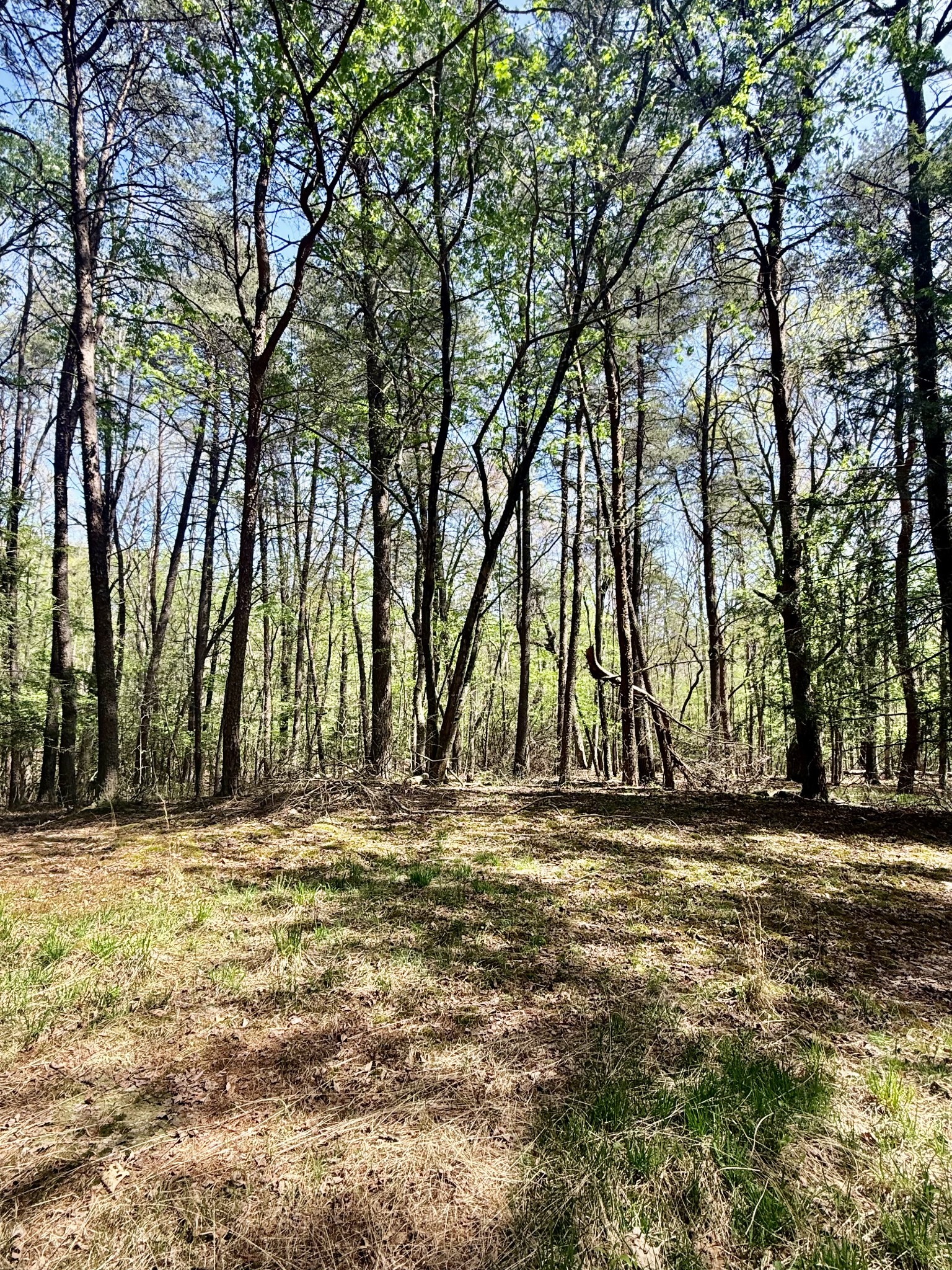 0 Timberwood Trace Lot 310