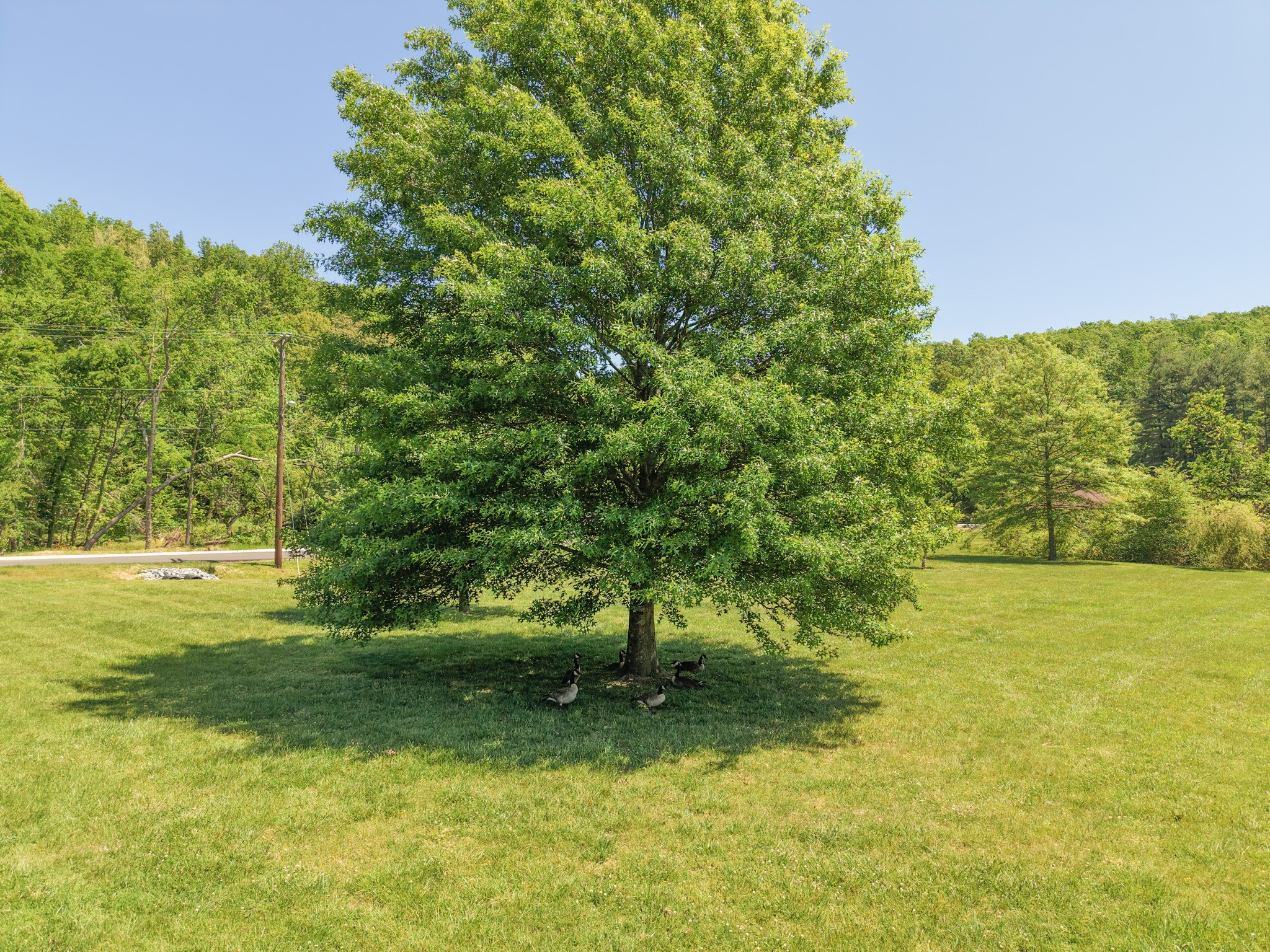 214 Old Hickory Blvd Unit: 135