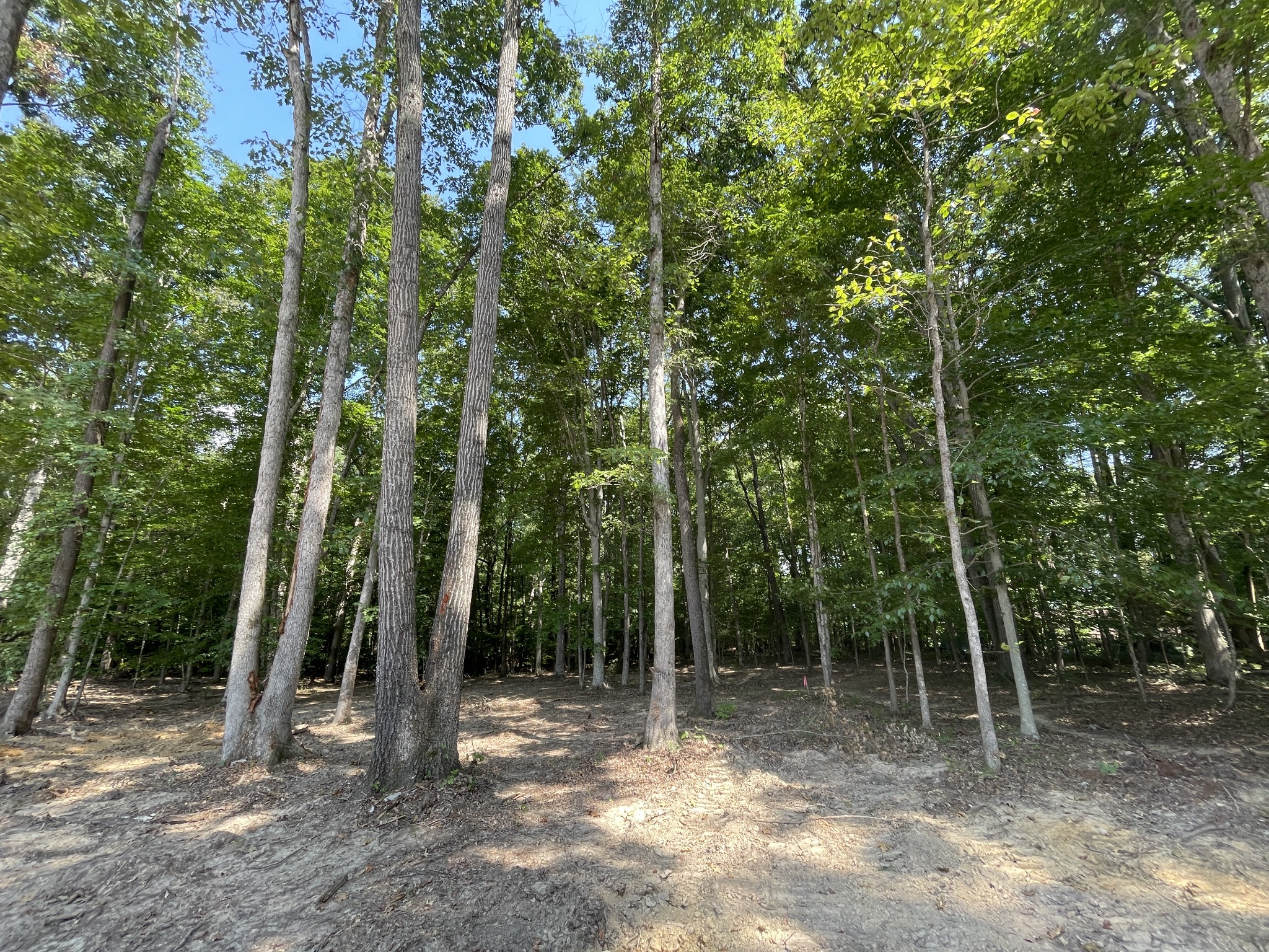 211 Beechwood Court, W