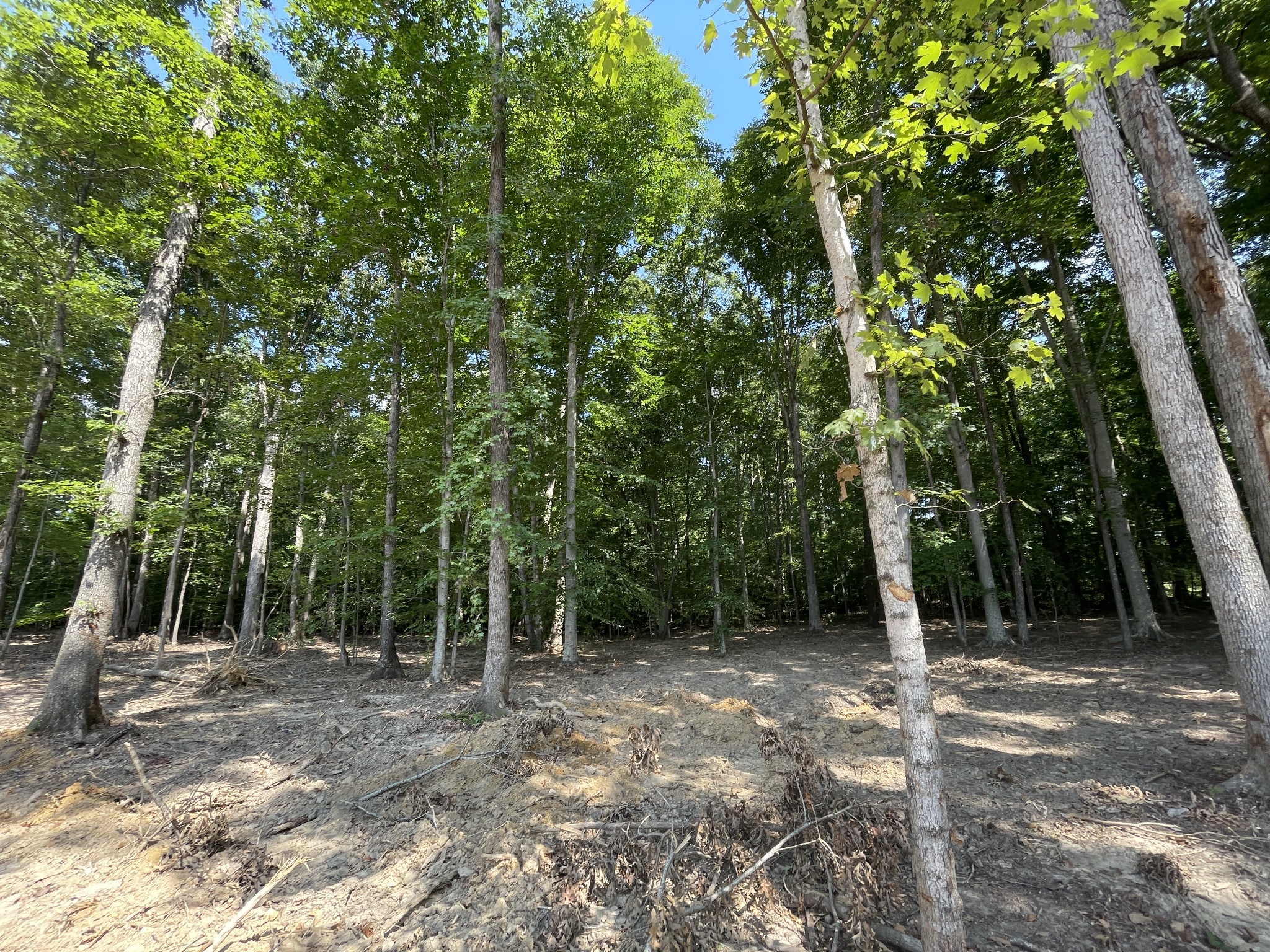 211 Beechwood Court, W