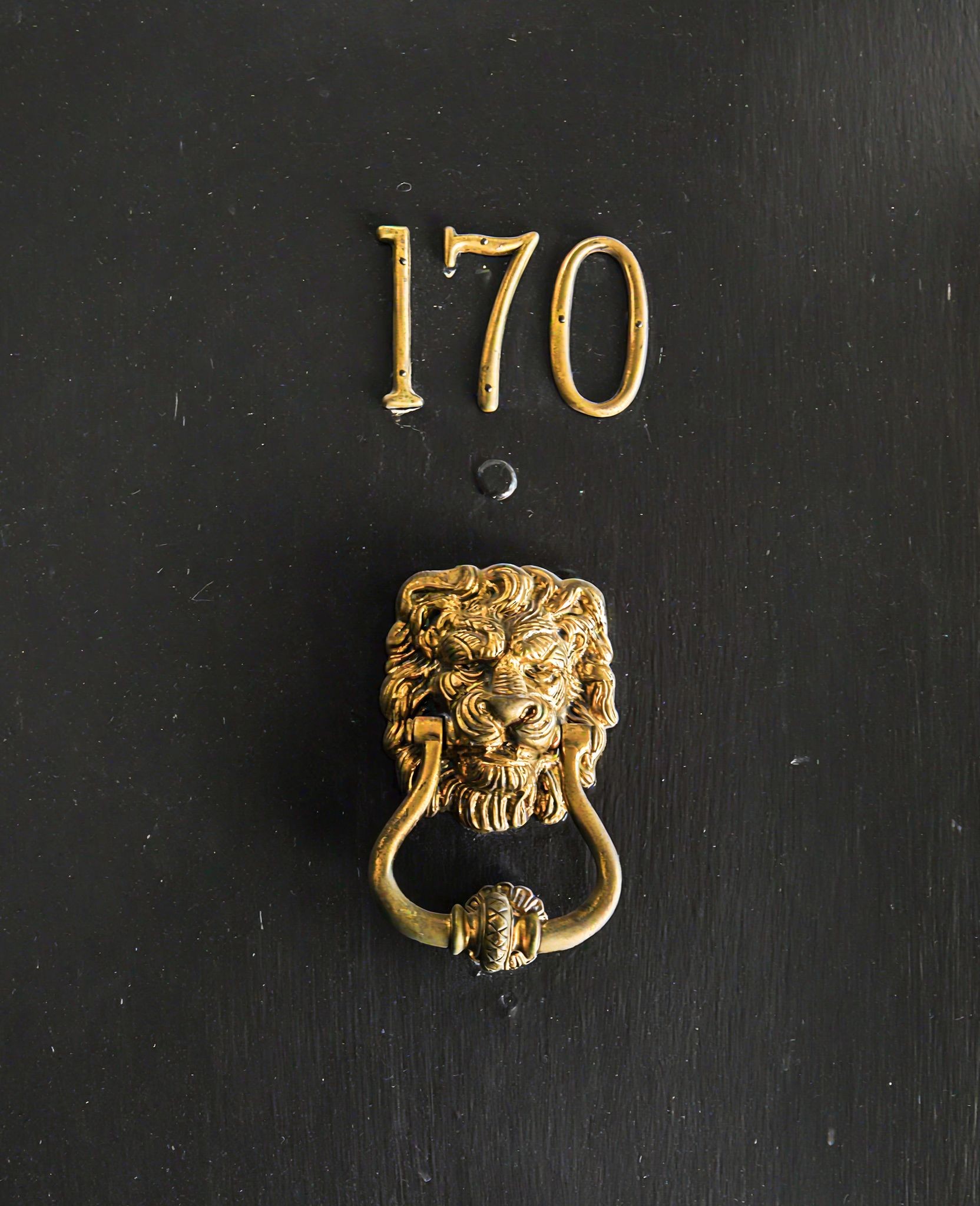 4487 Post Pl Unit: 170