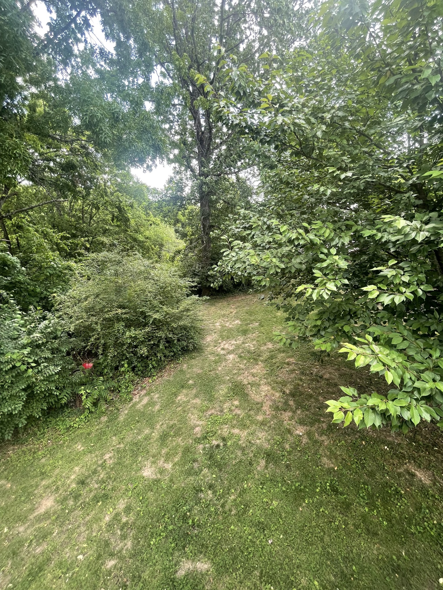 104 Woodfield Ct
