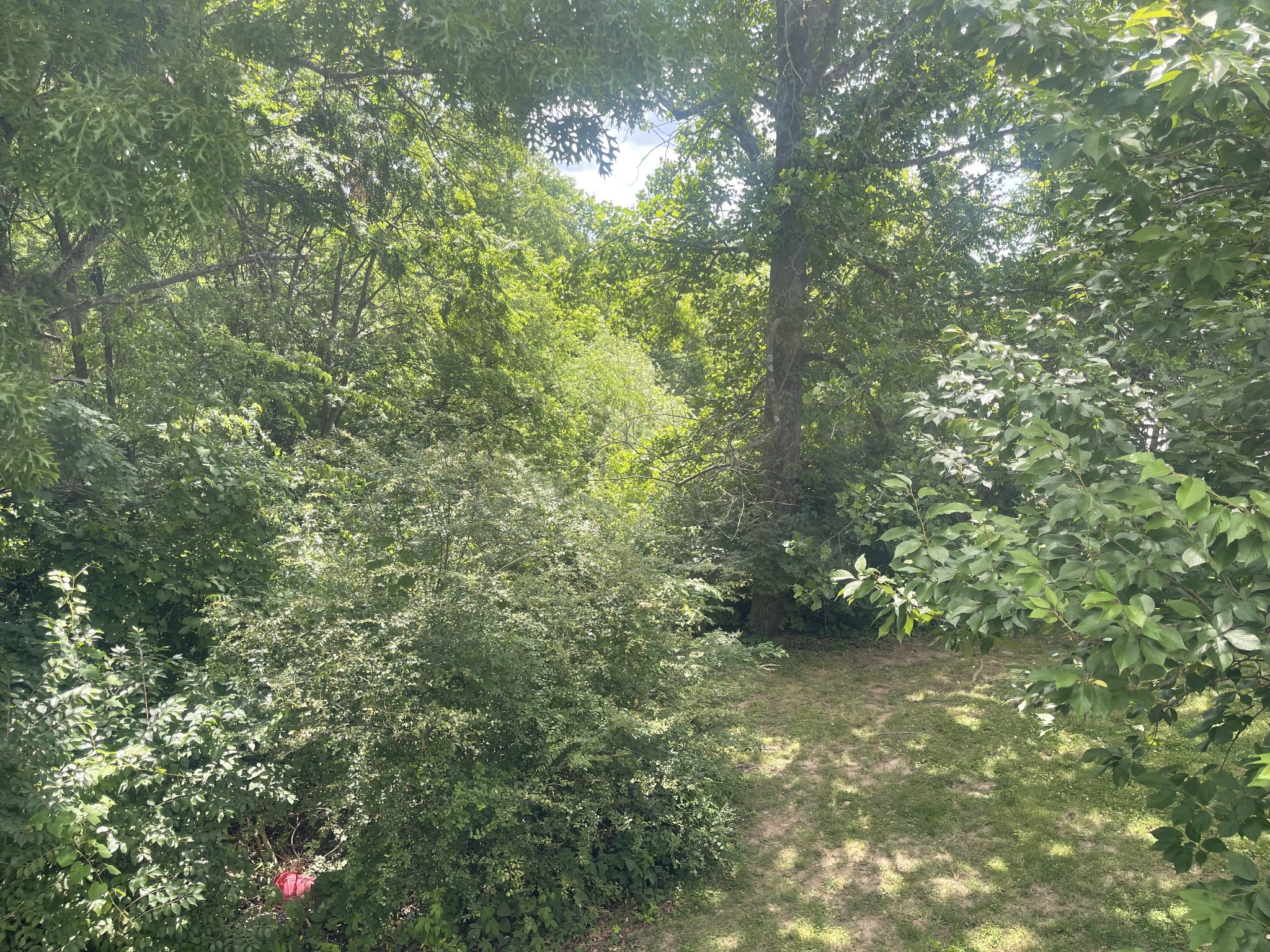 104 Woodfield Ct