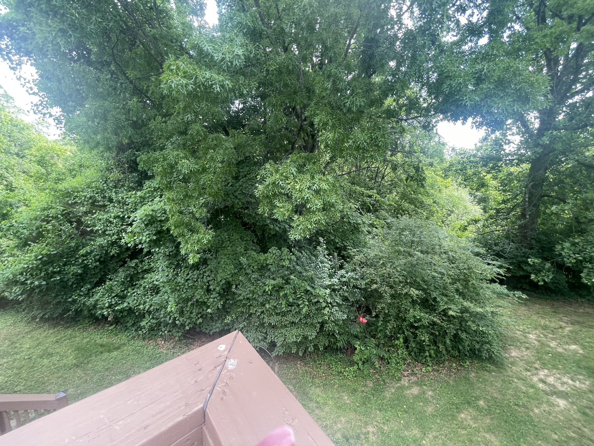104 Woodfield Ct